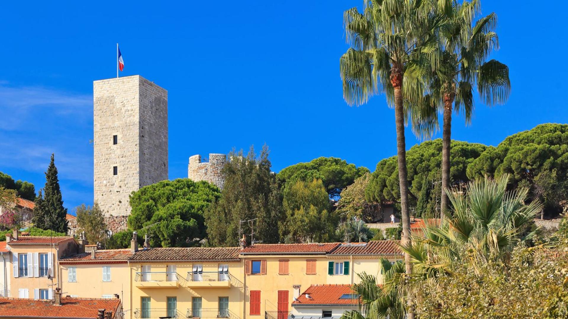Photo 14