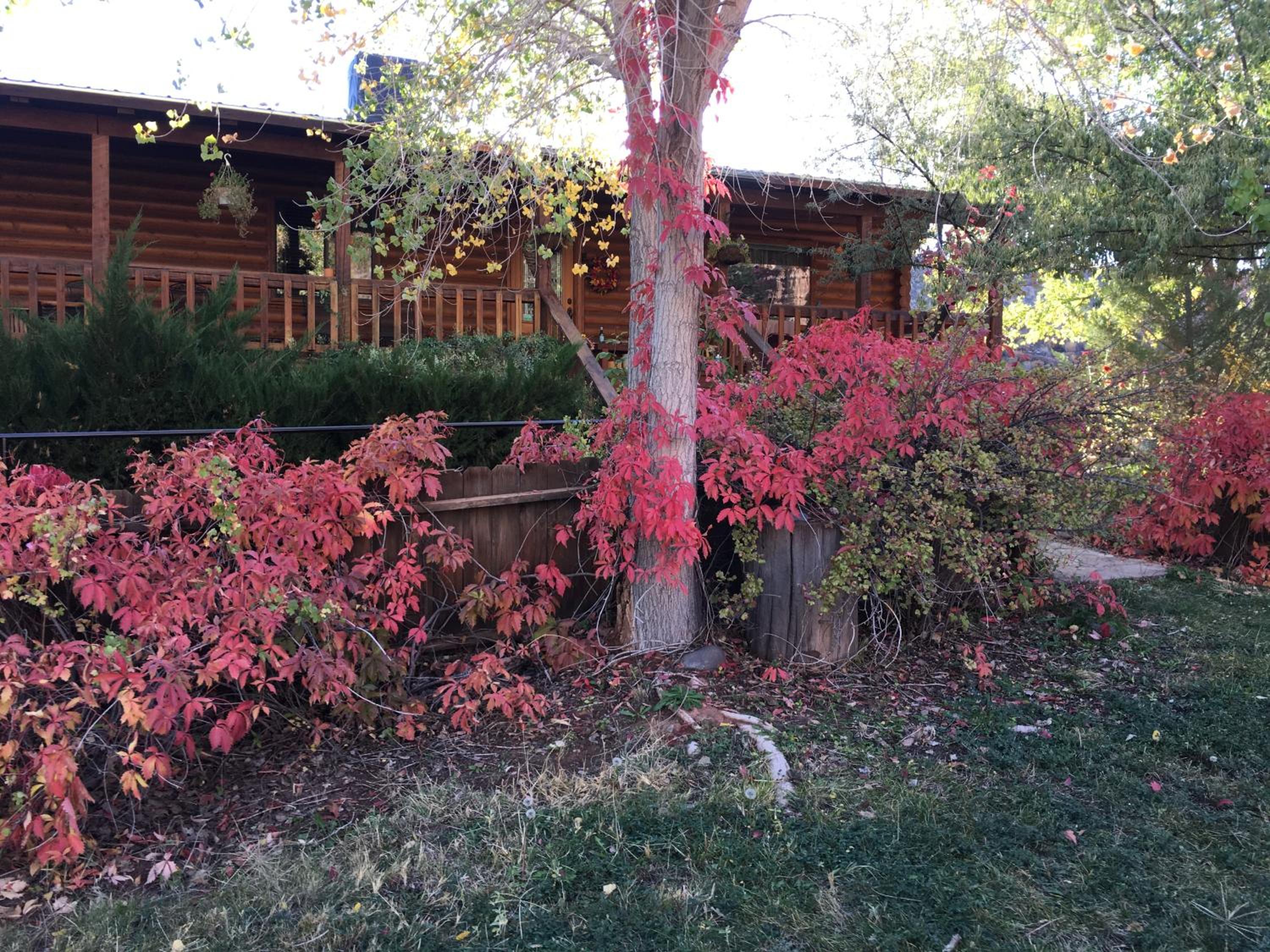 Photo 15
