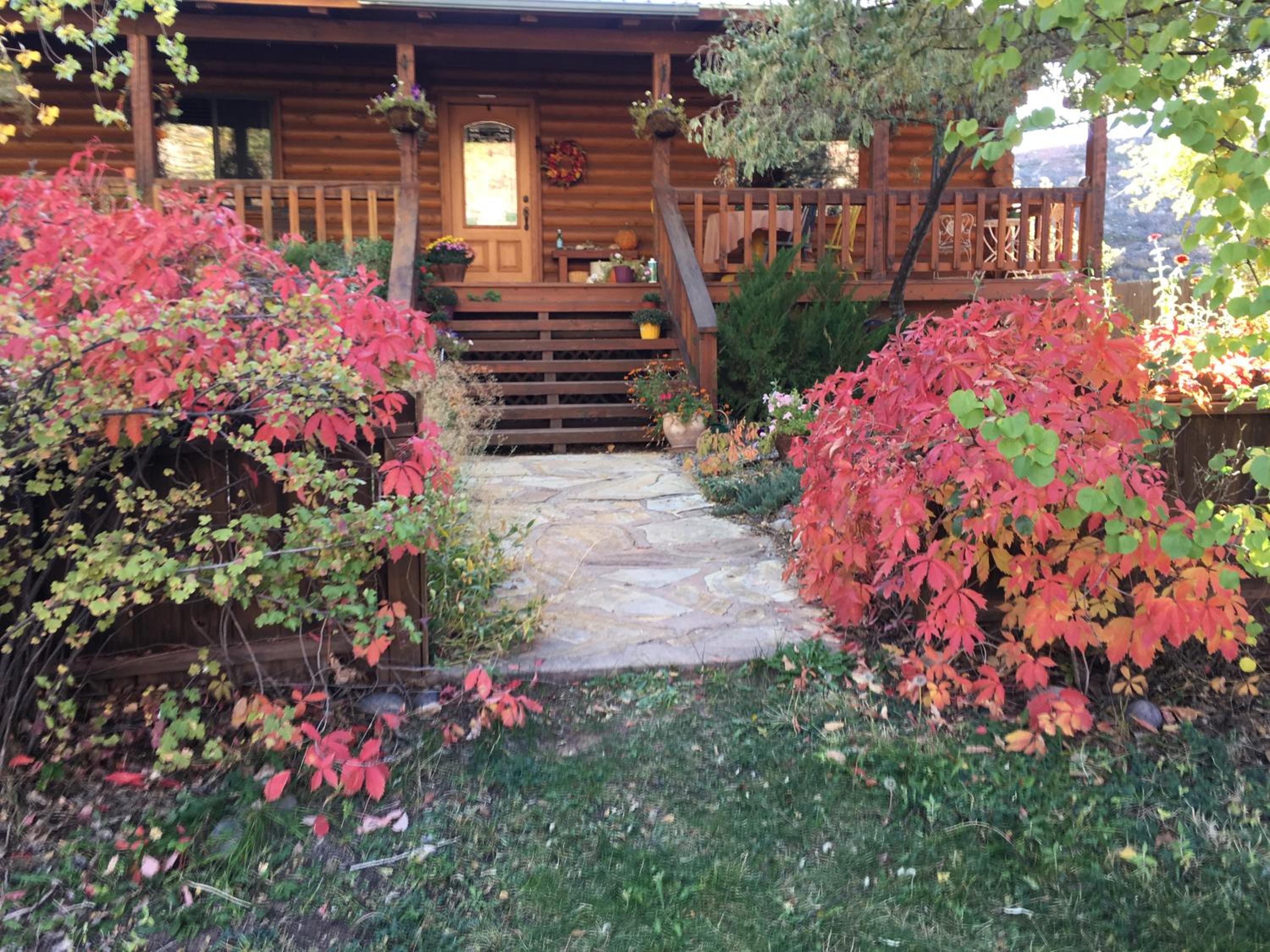 Photo 21
