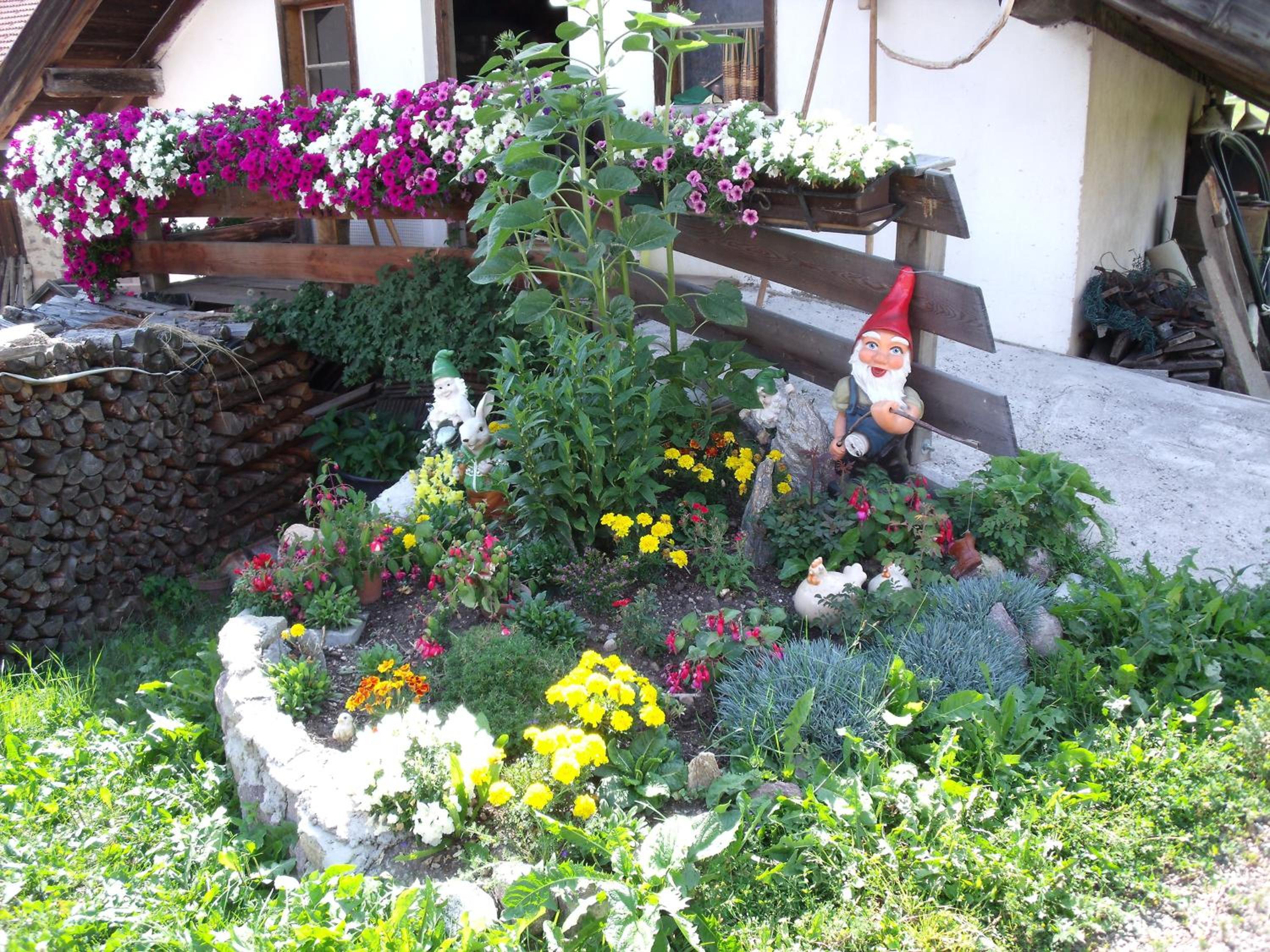 Photo 13