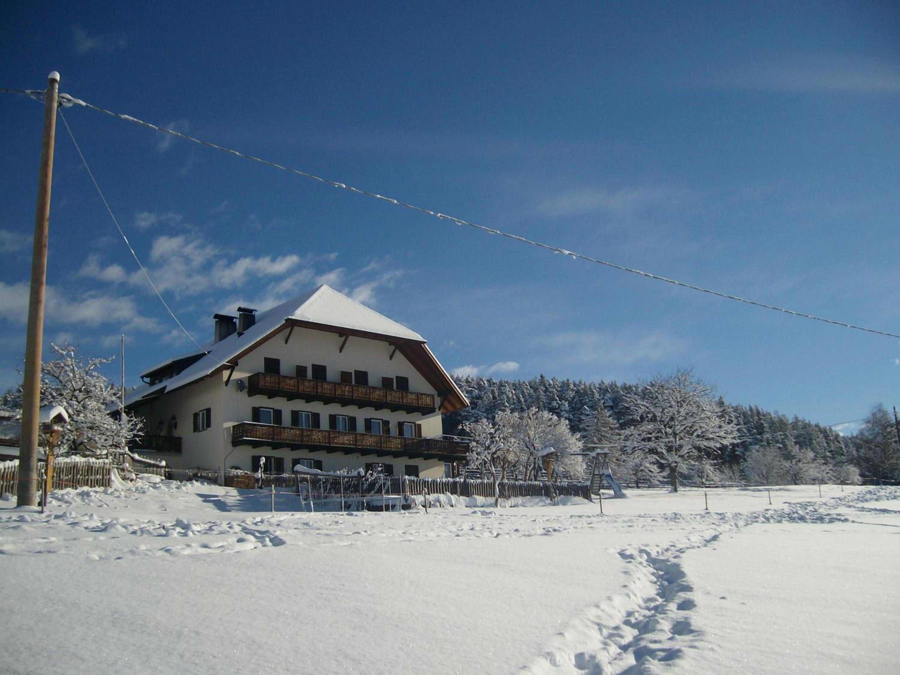 Photo 48