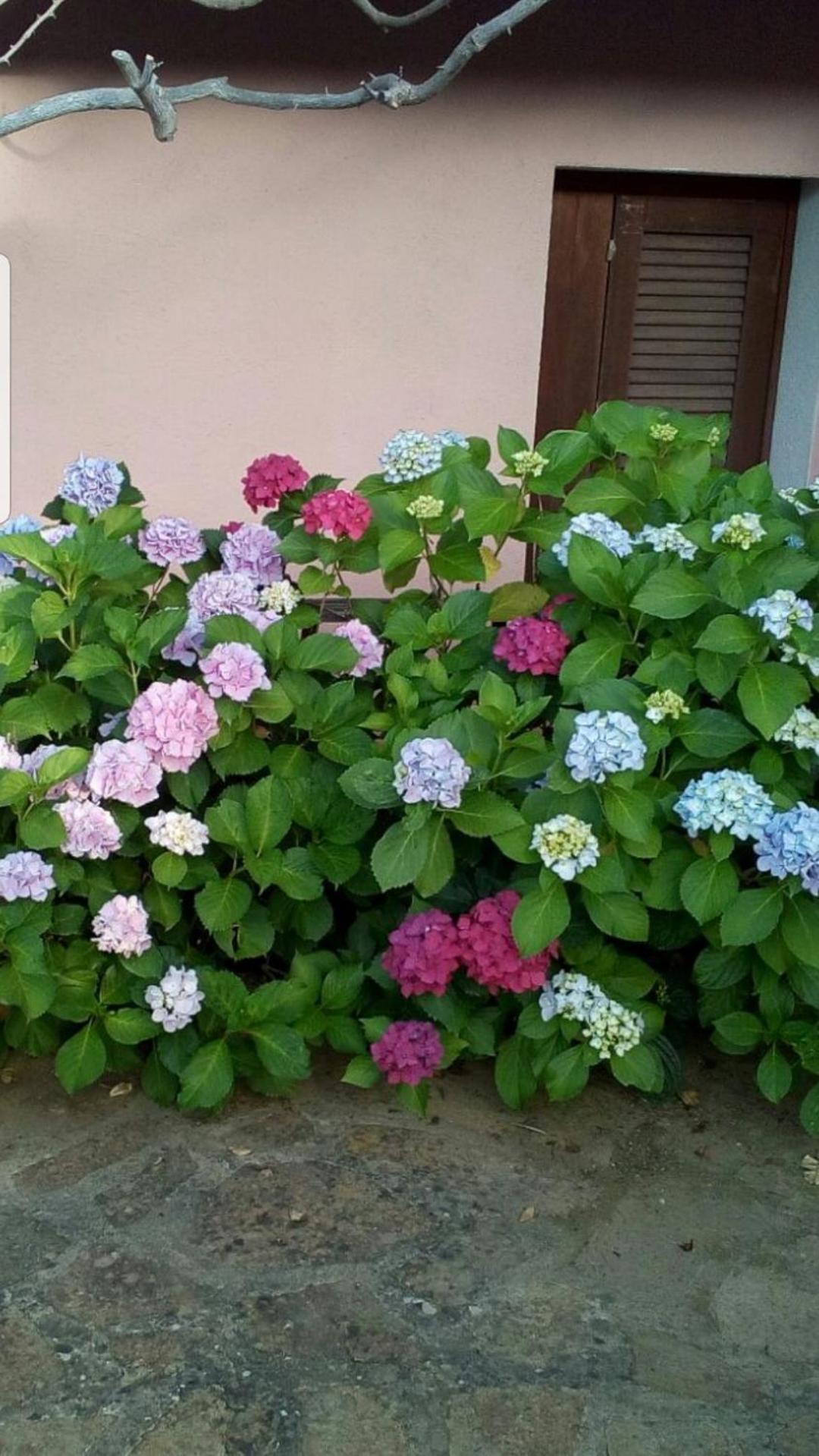 47 Viale Concas Caddinas Villa Mia photo 3