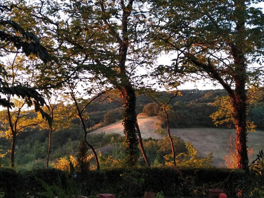 Domaine de Courbieres