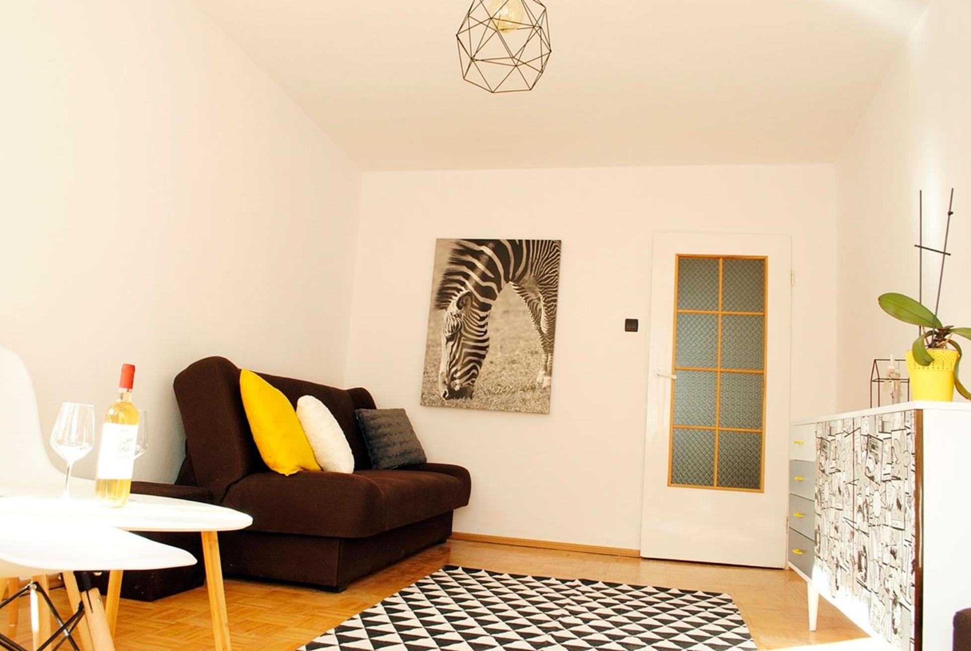 Yellow Apartment oposite ZOO (5 minutes walk to the Old Town) view 3