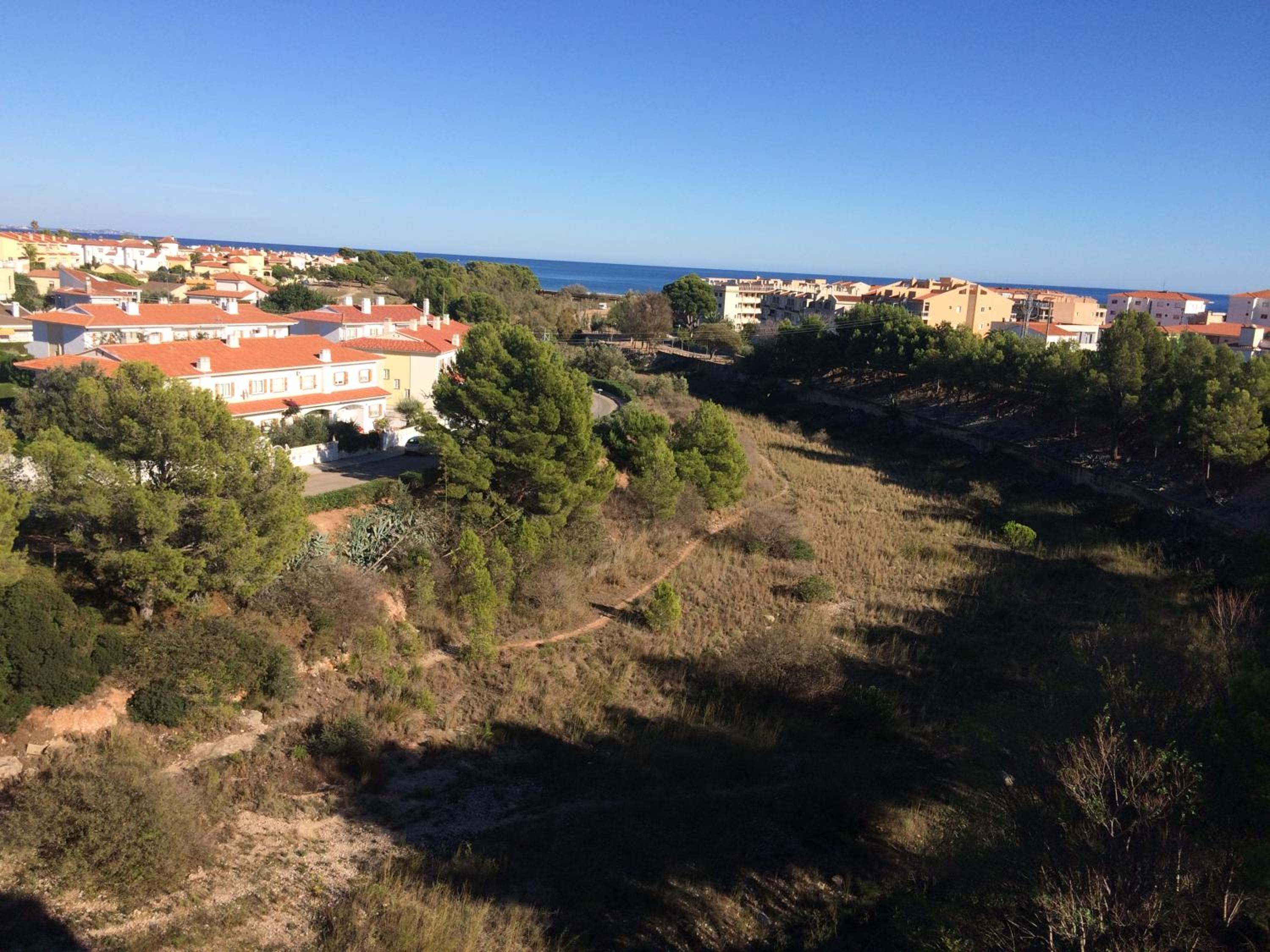 Llastre photo 3