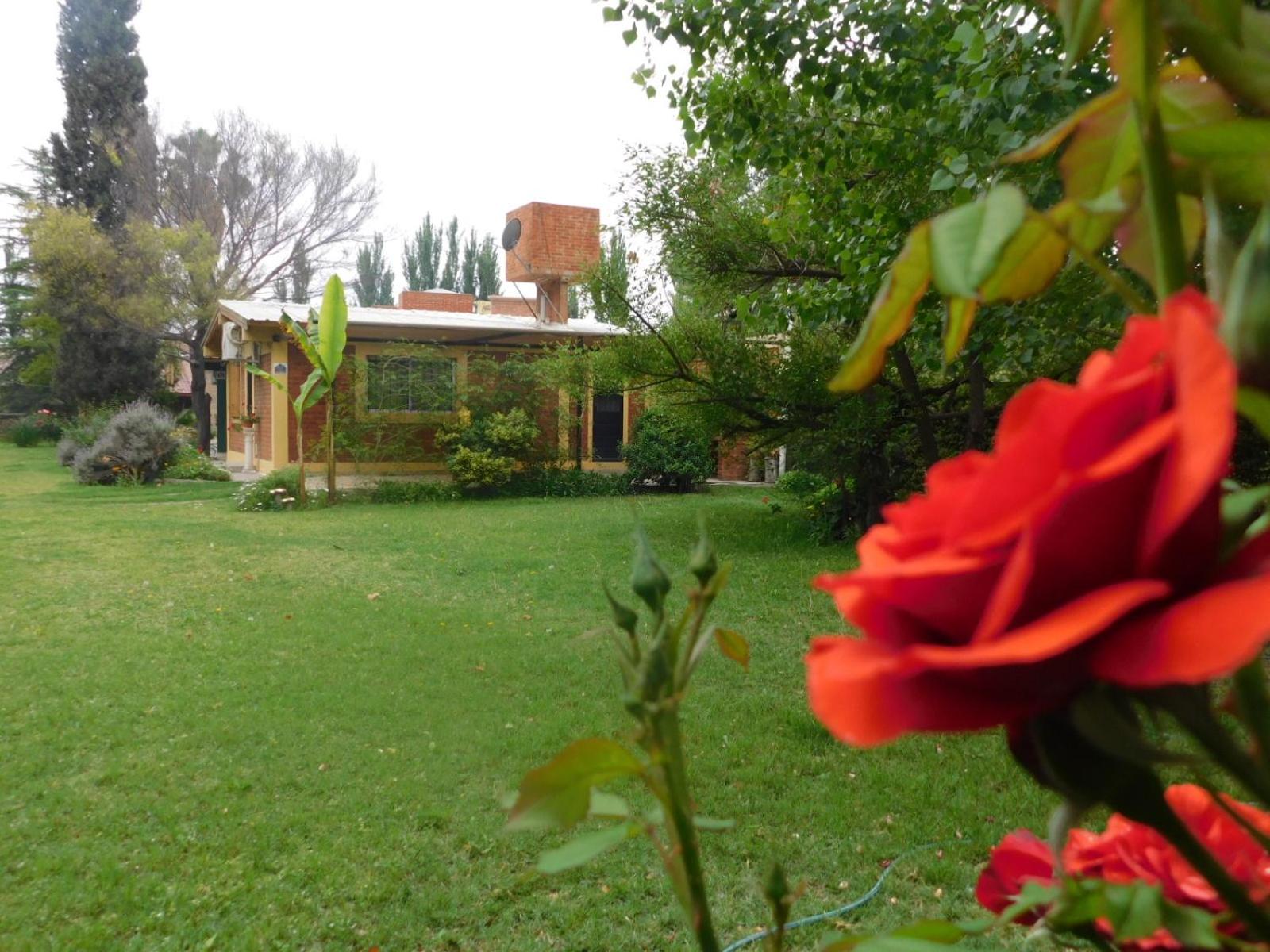 Cabañas Mirmar Mendoza
