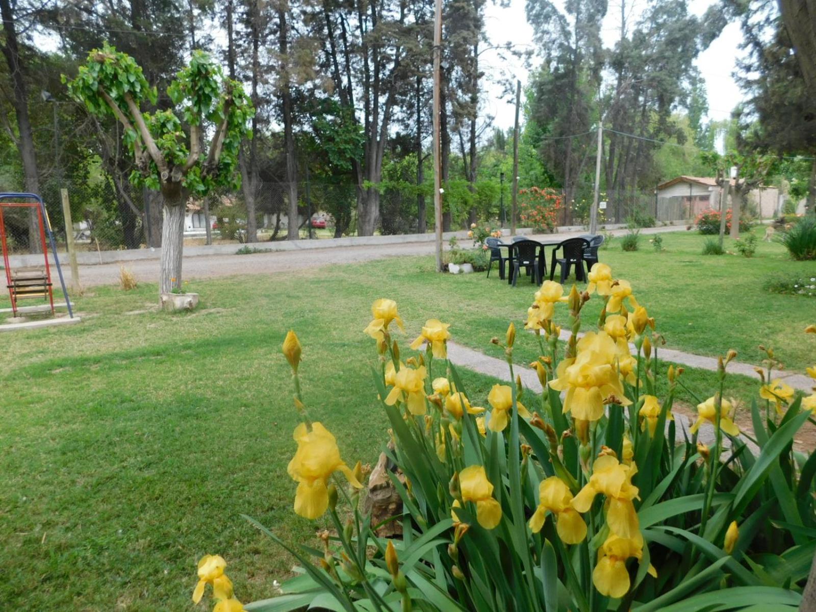 Cabañas Mirmar Mendoza