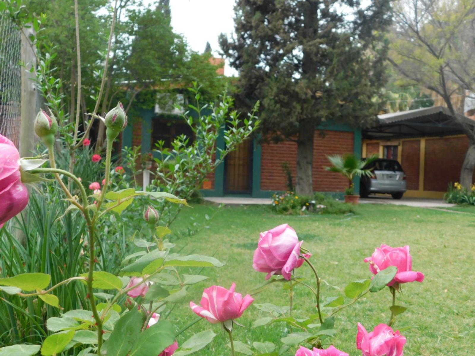 Cabañas Mirmar Mendoza