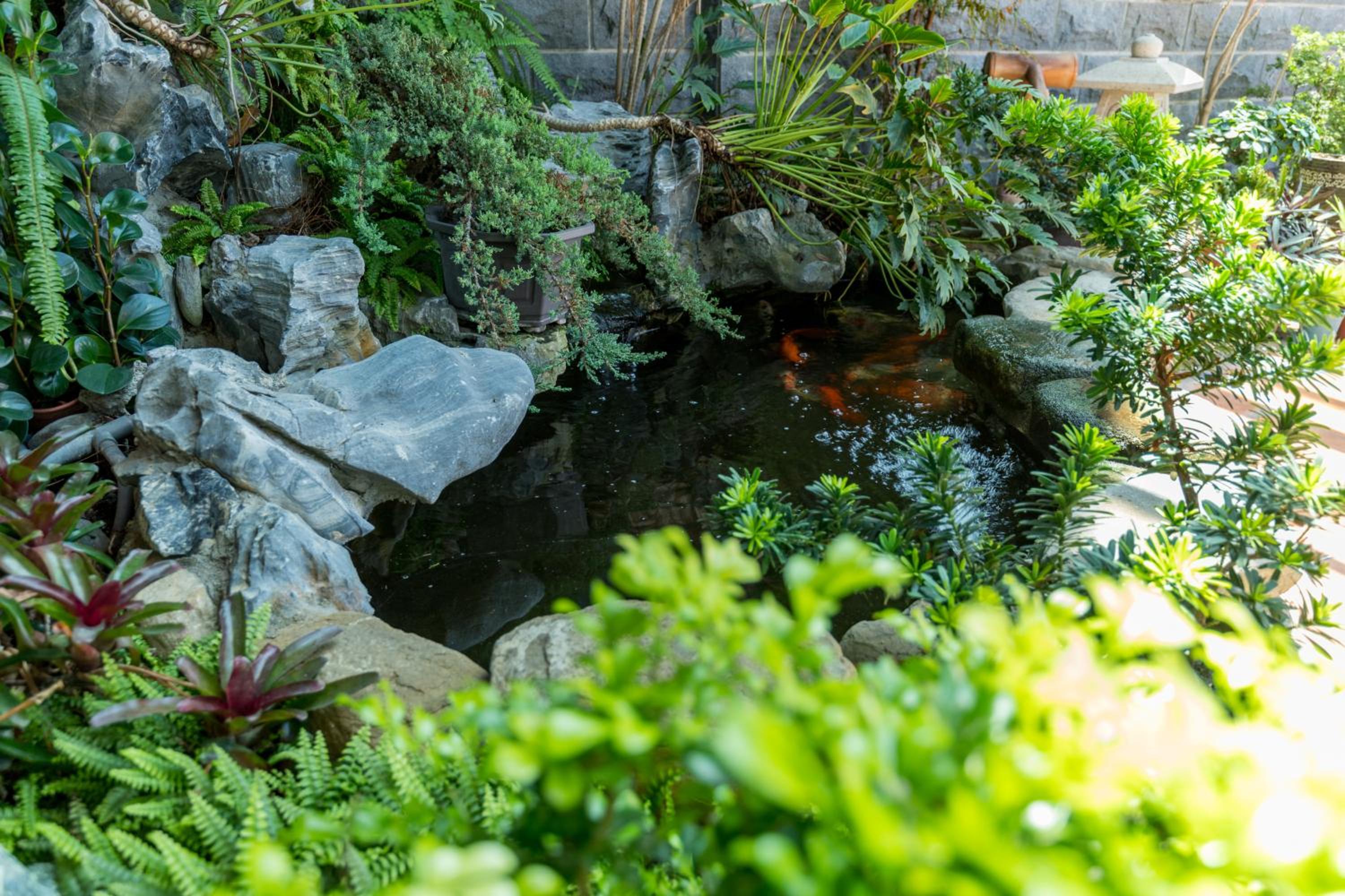 Qing Jing Ze Bed & Breakfast