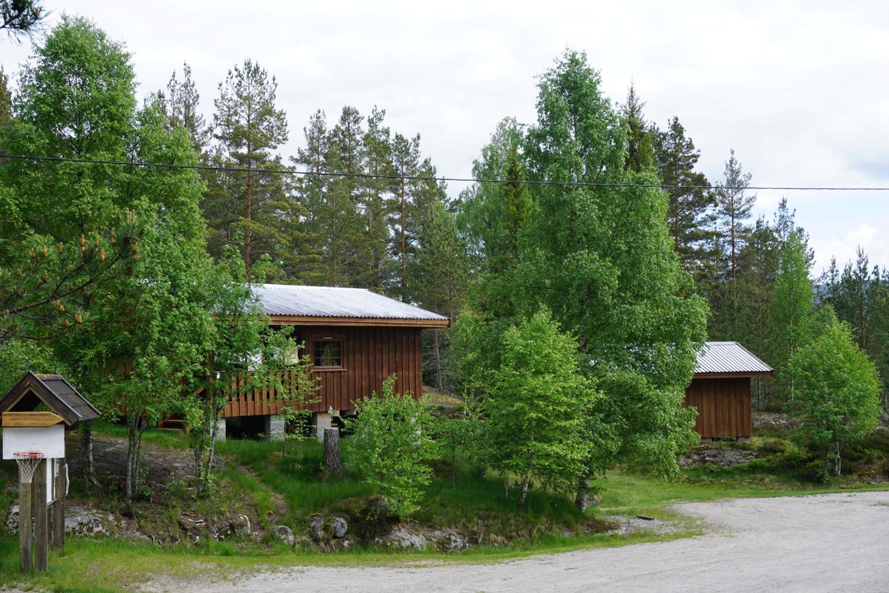Photo 7