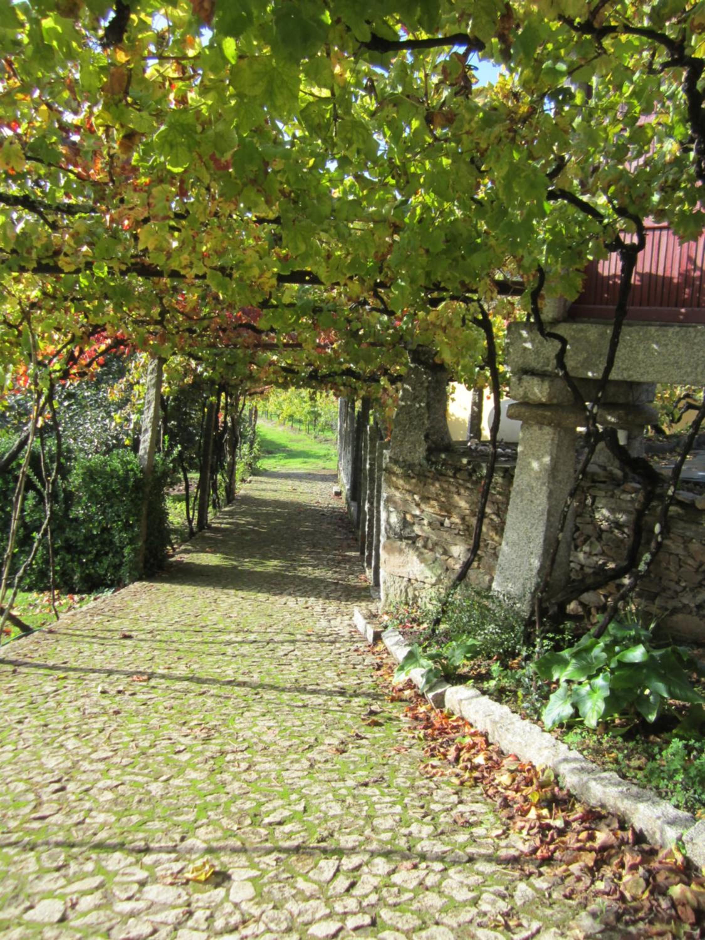 Quinta das Aranhas