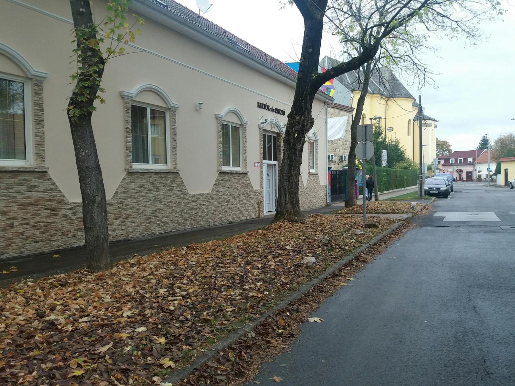Bartók Tér Panzió