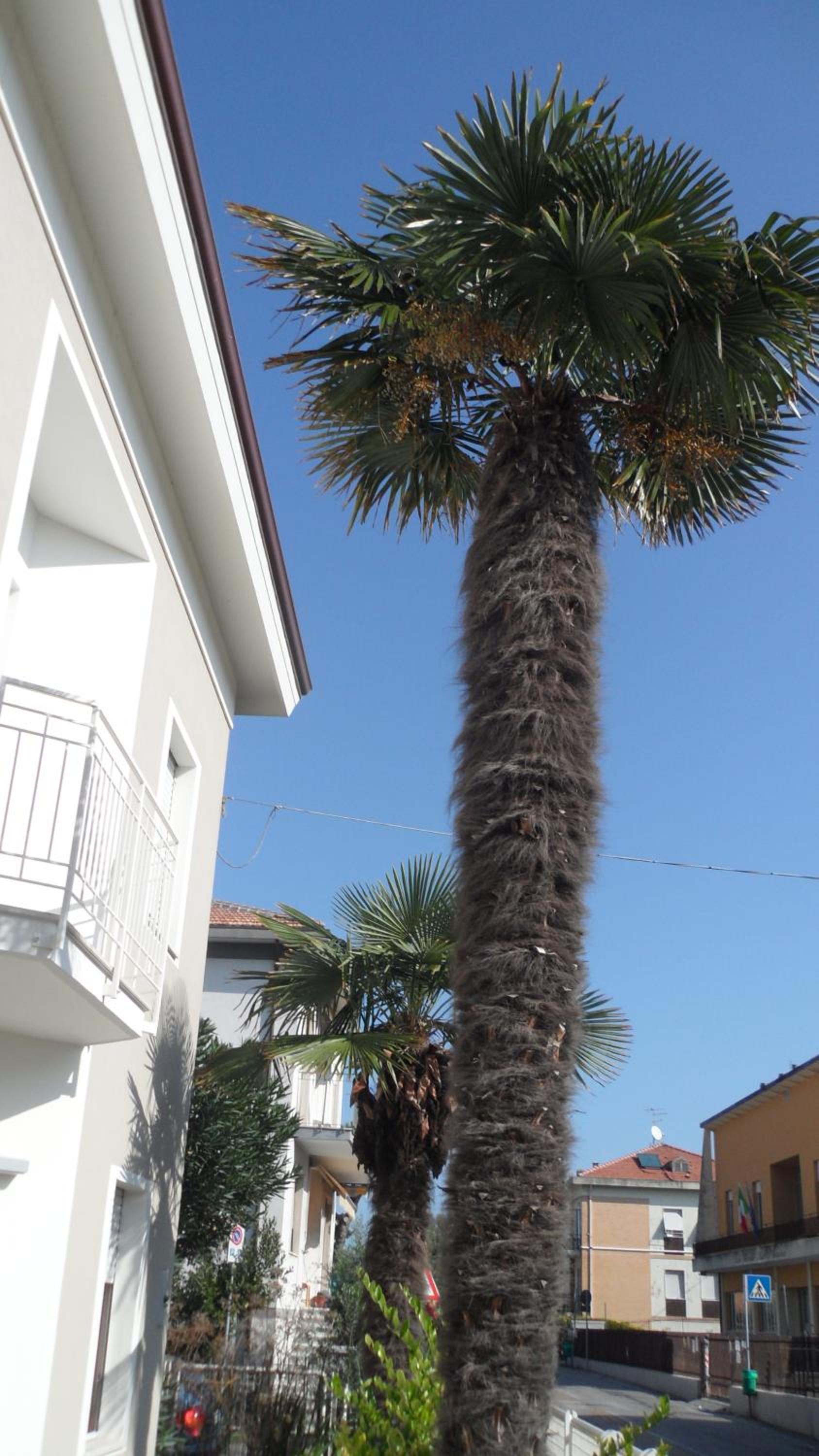 CASA FLAMINIA photo 3
