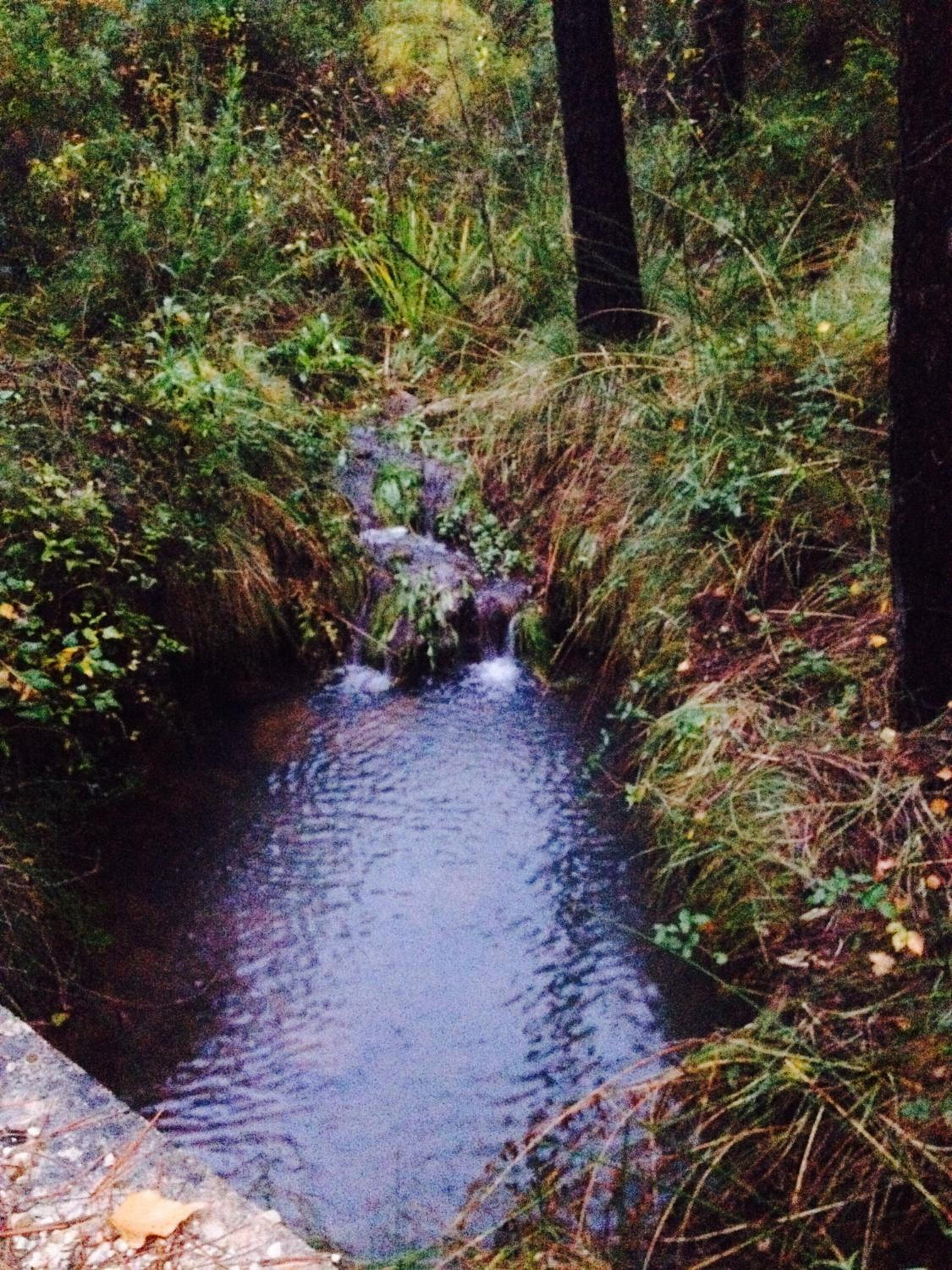 Arroyo Colladillos y Caprichosa photo 5