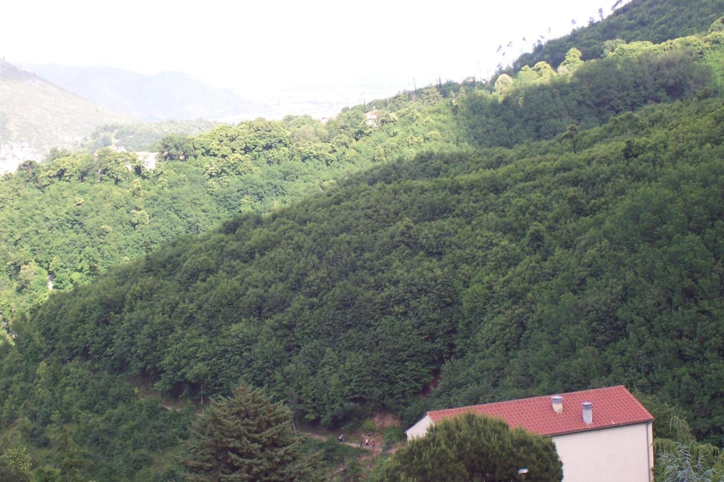 B&B Ilys view 4