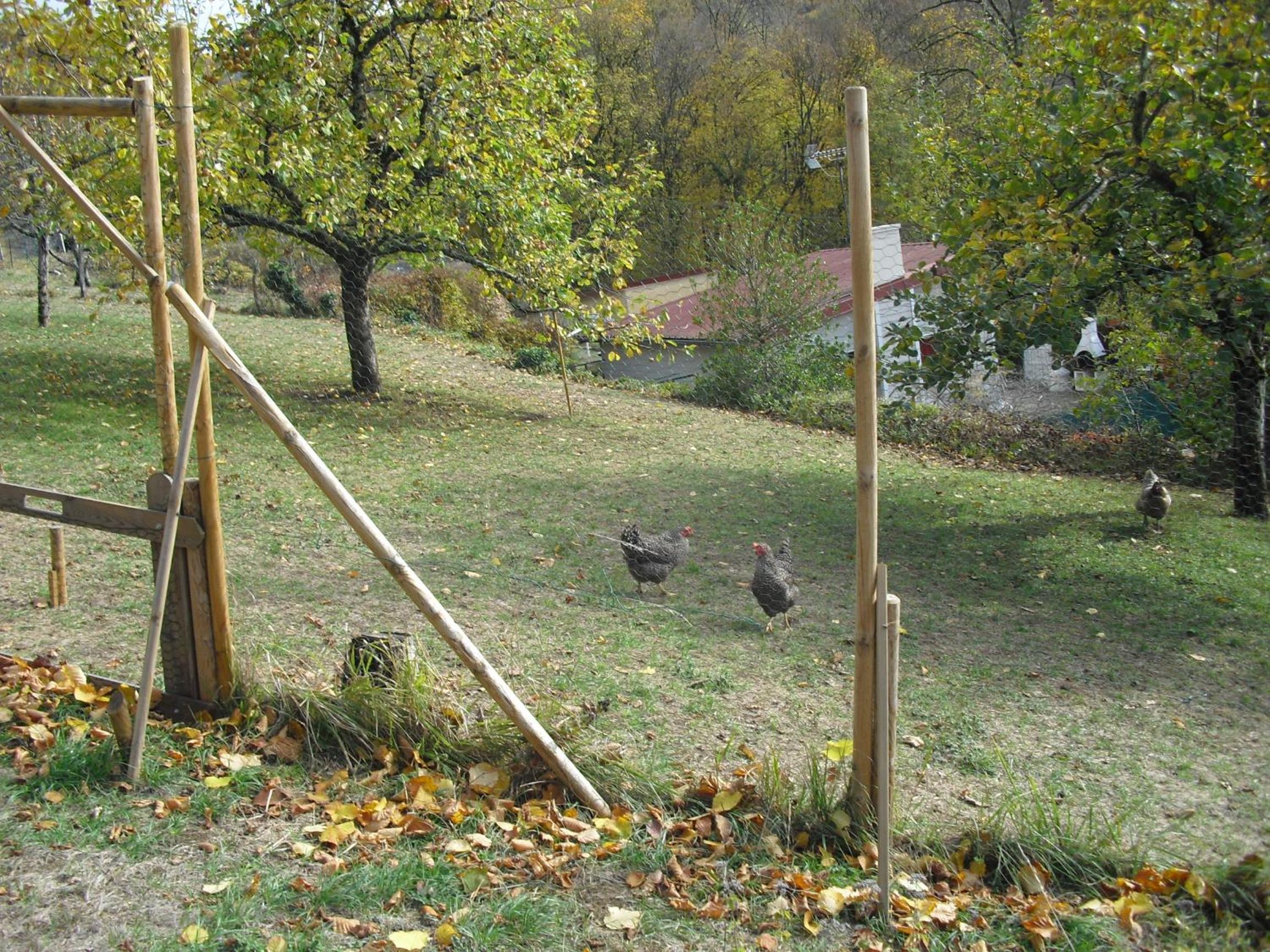 Photo 11
