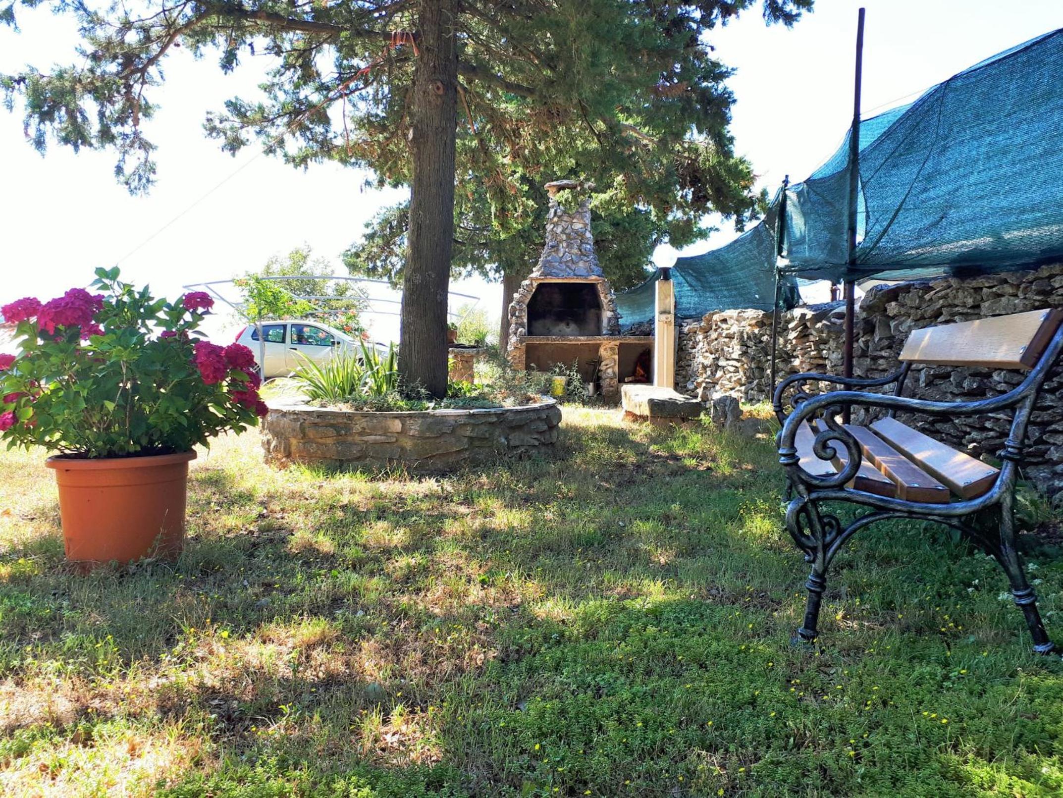 Photo 22