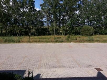 Maremaremma Sporting Club Rio Grande