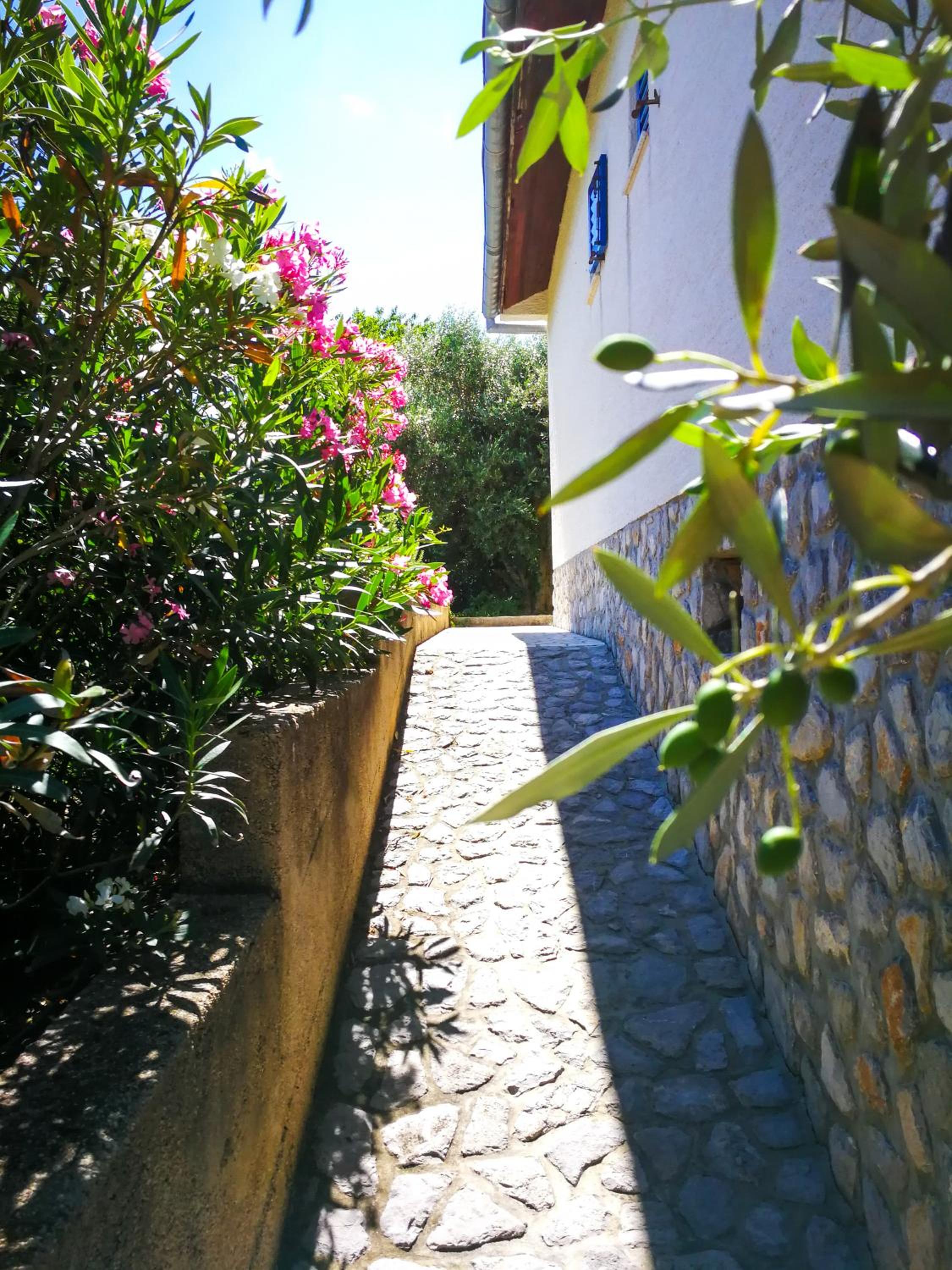 Ecohouse Oliveglia view 2