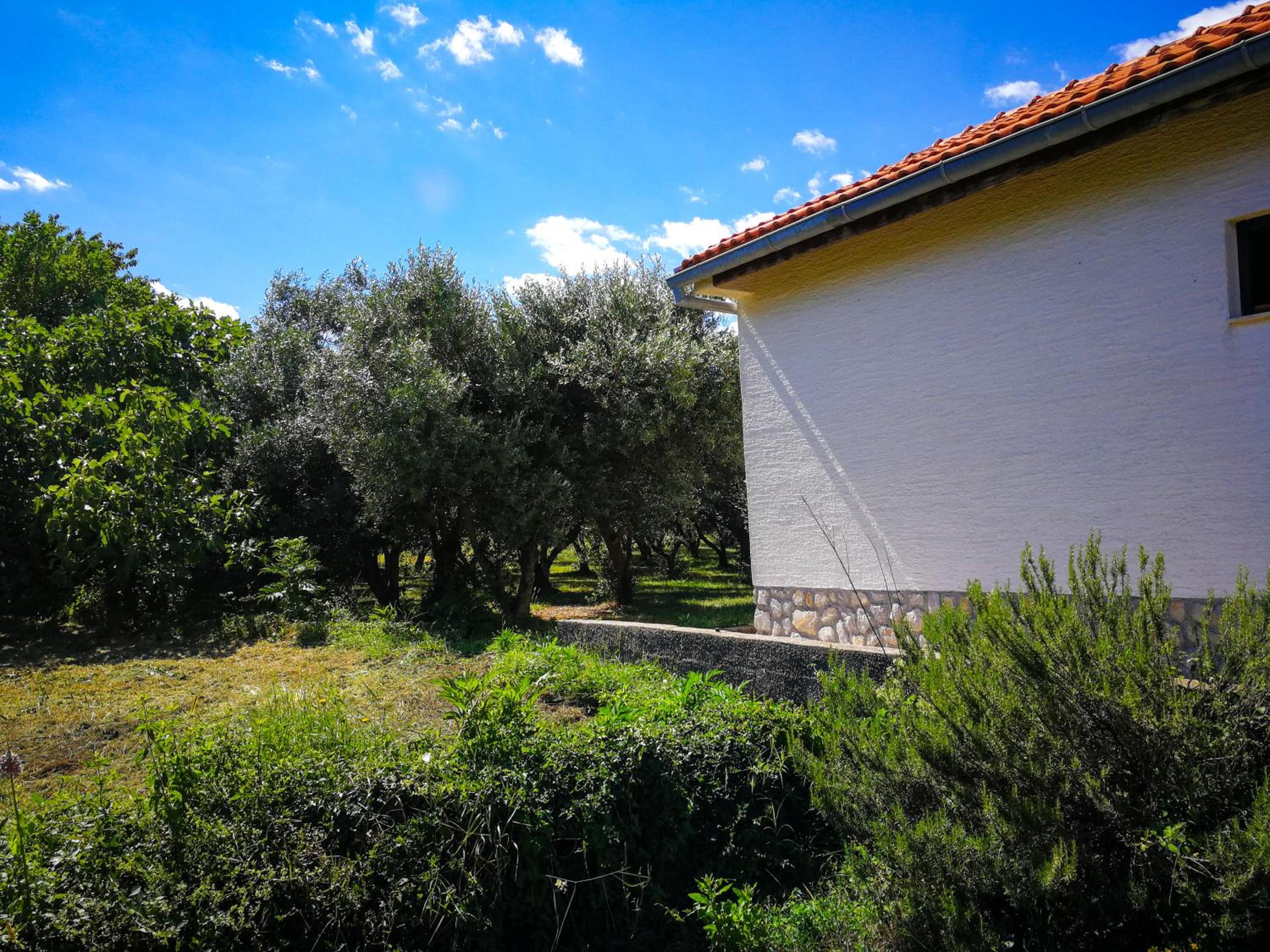 Ecohouse Oliveglia view 5