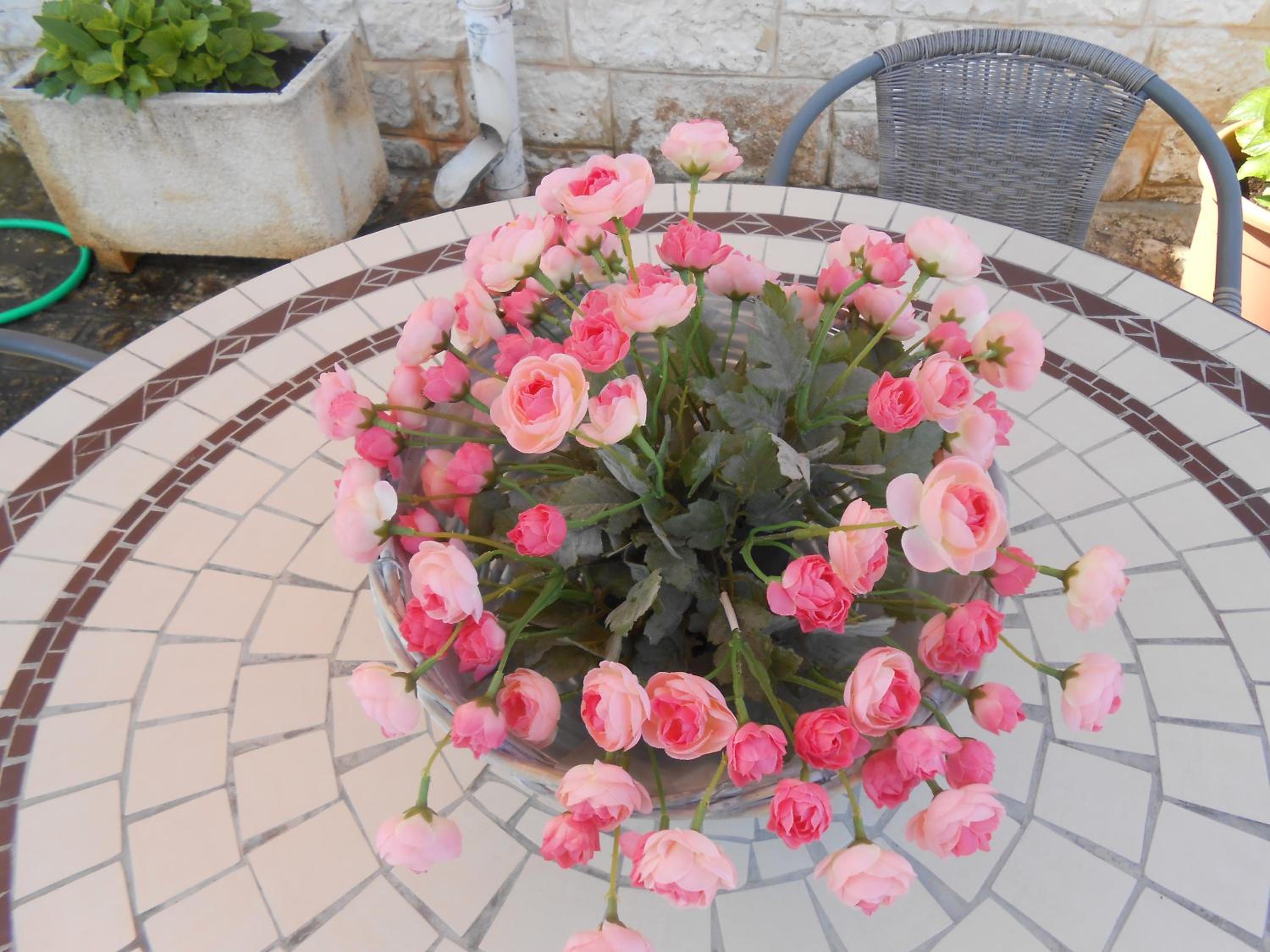 B&B La Collina Degli Ulivi