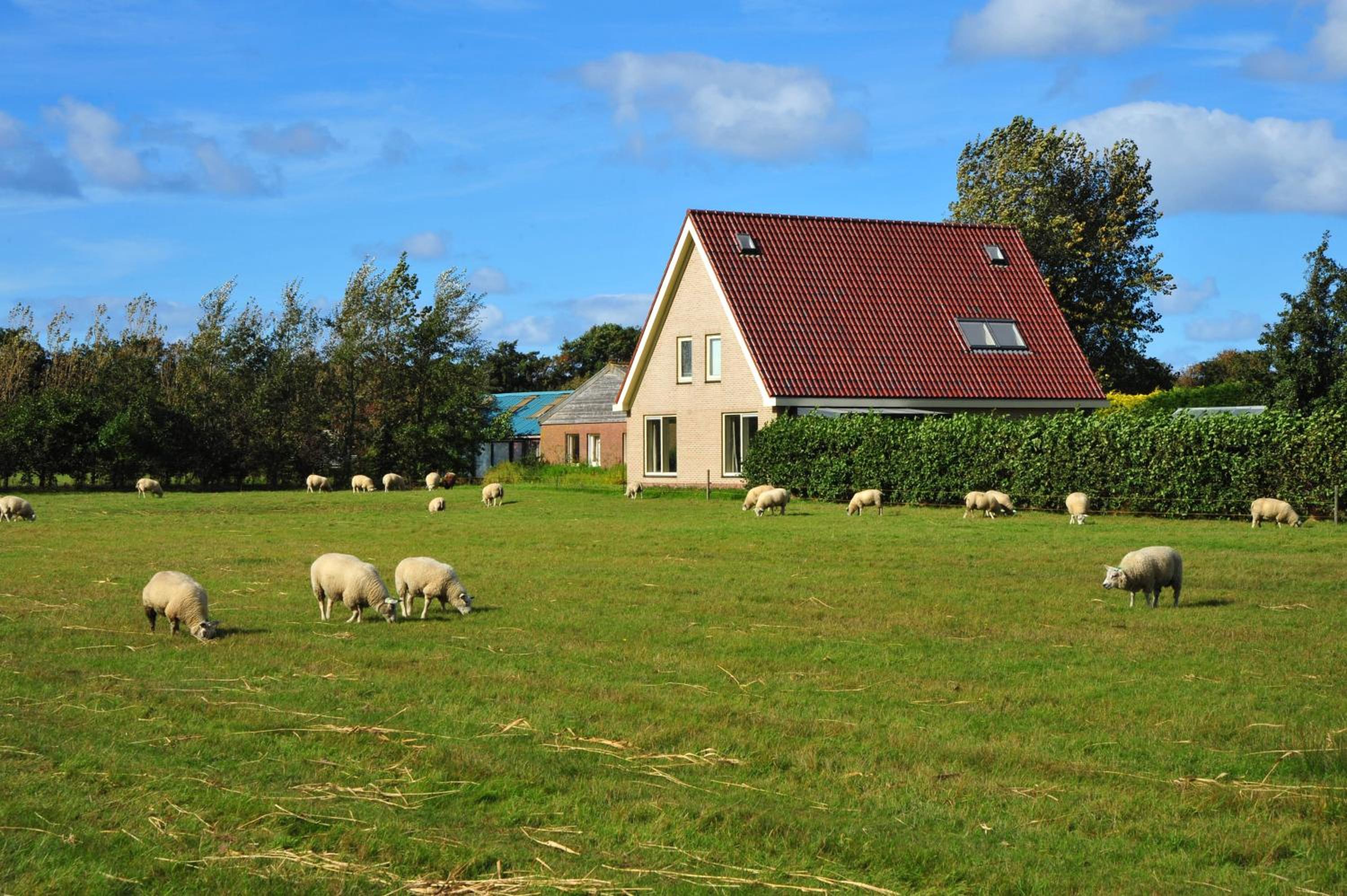 Witte Weelde Texel