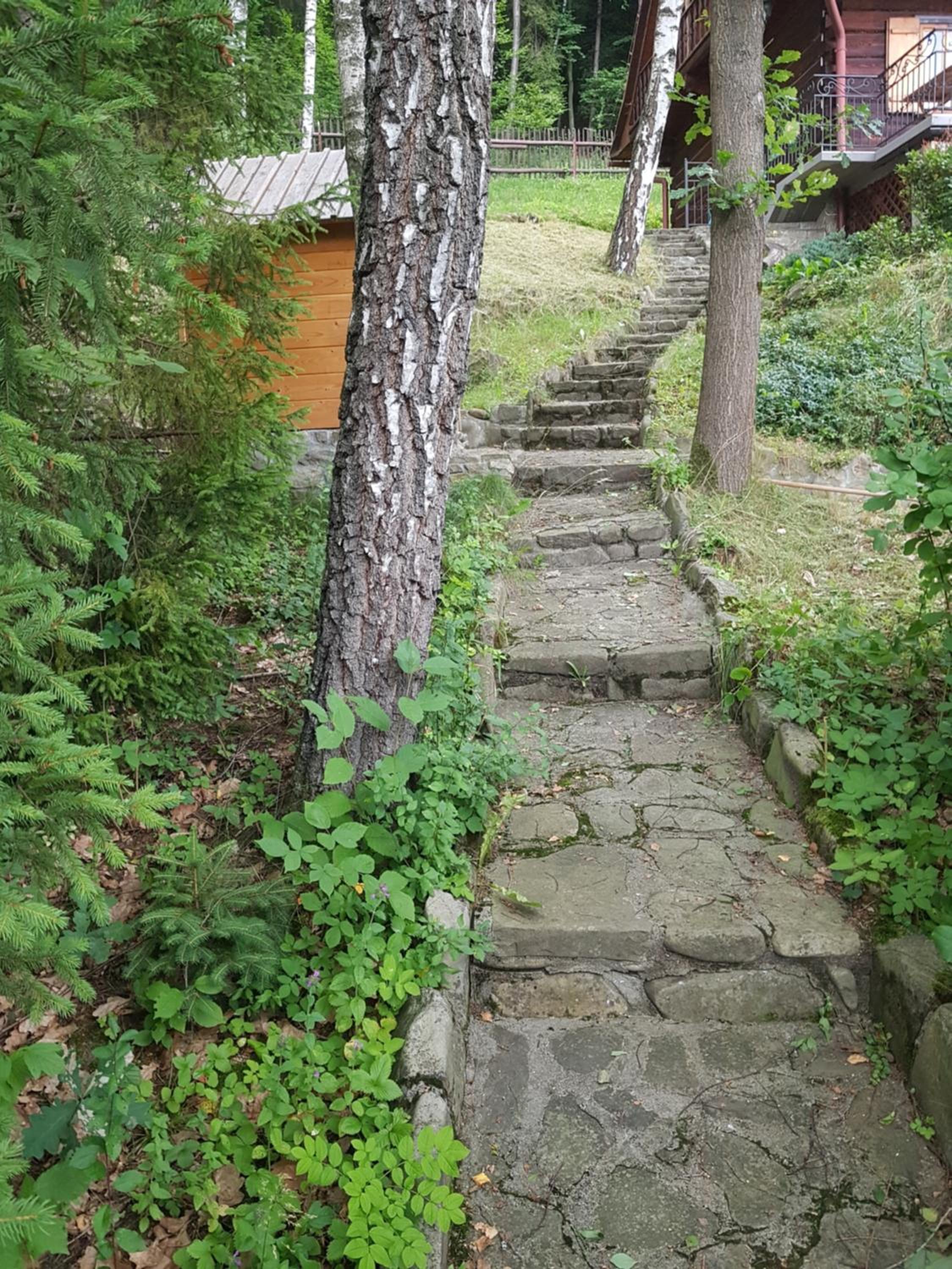Photo 40