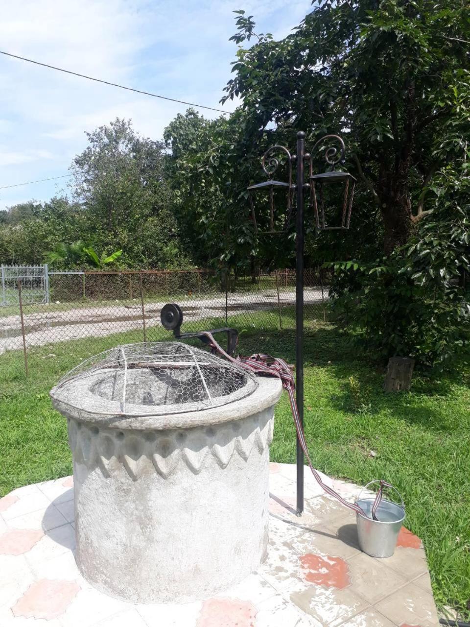 Photo 21