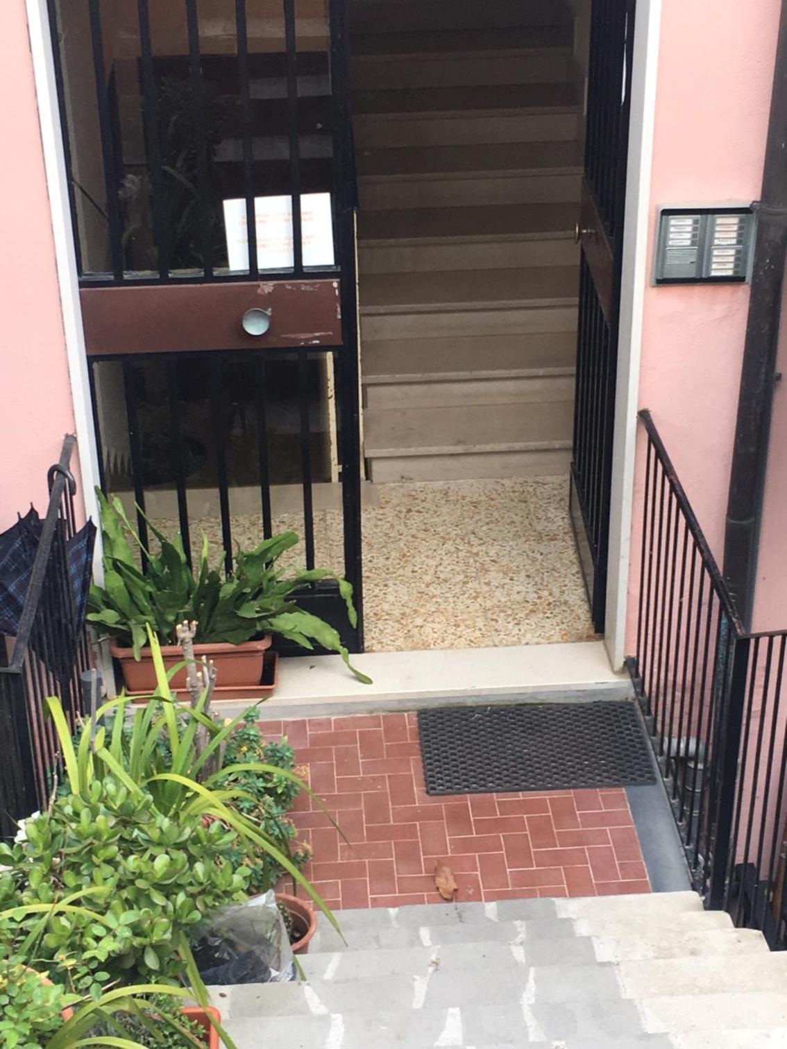 BougainvilleaP photo 5