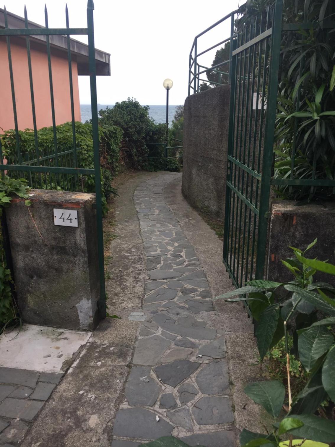 VerdeLimone photo 4