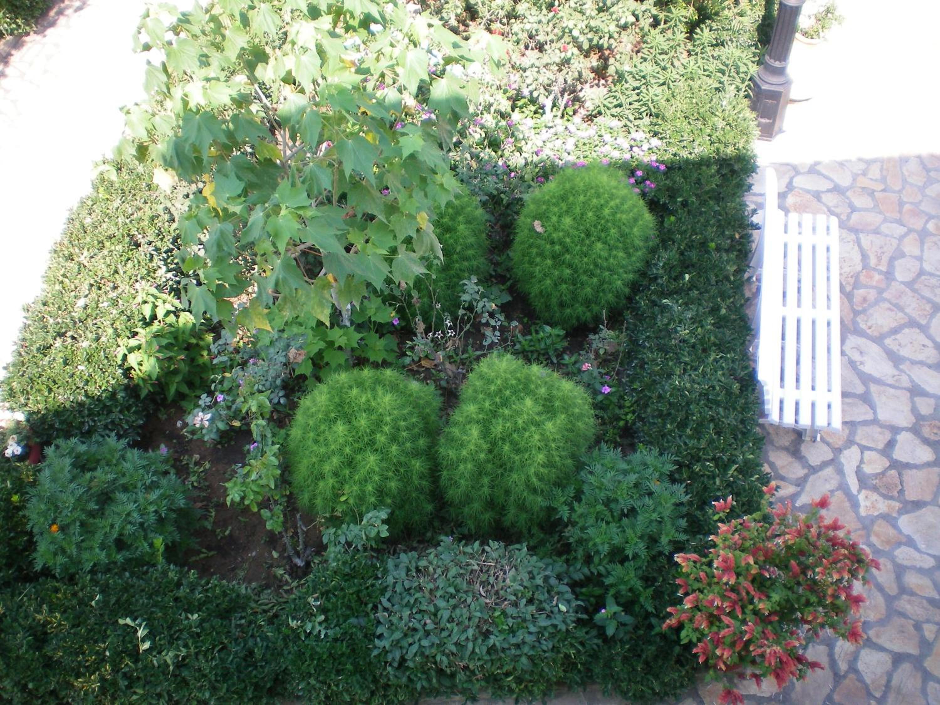 Photo 6