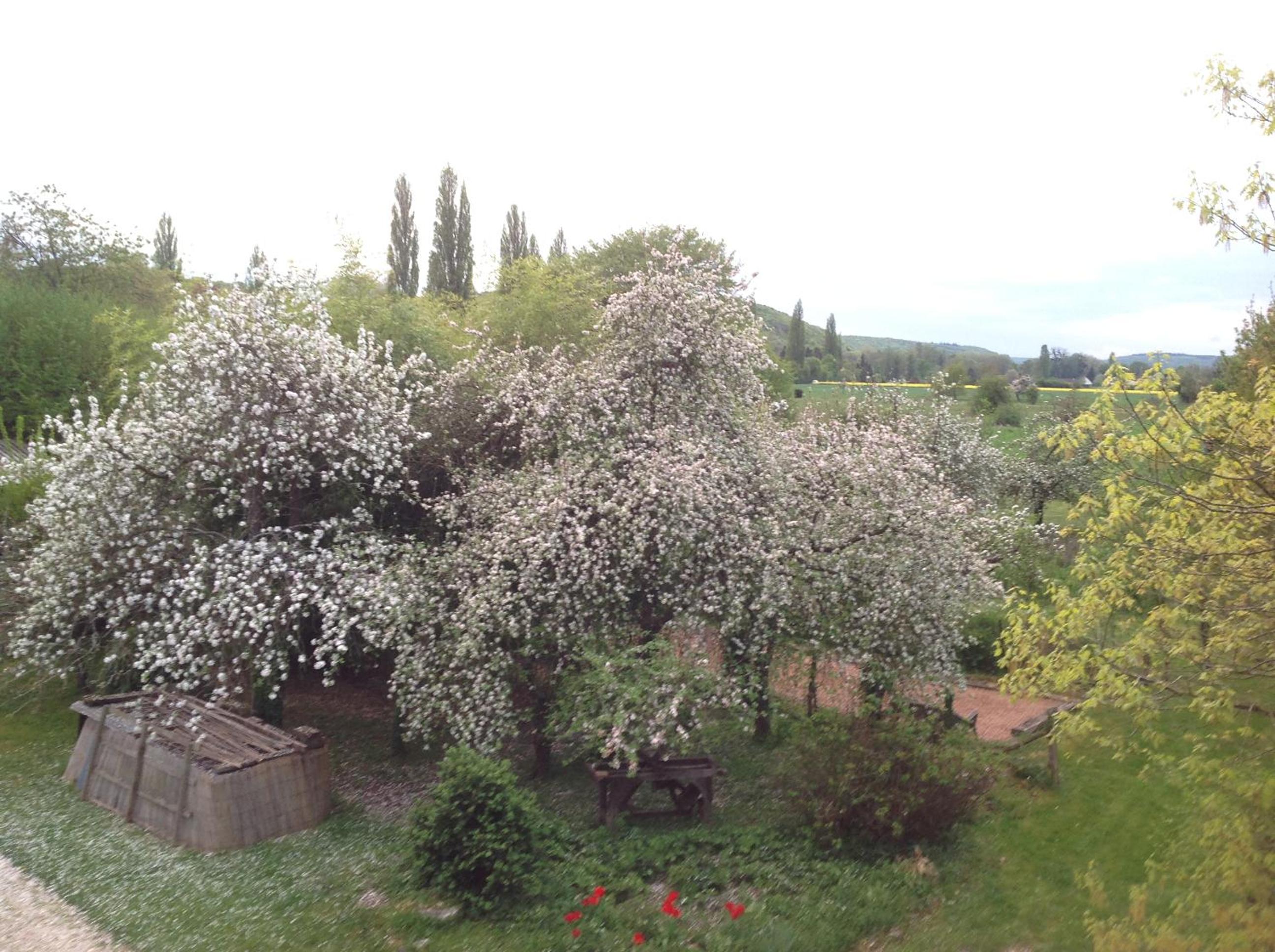 La Maison du Verger view 3