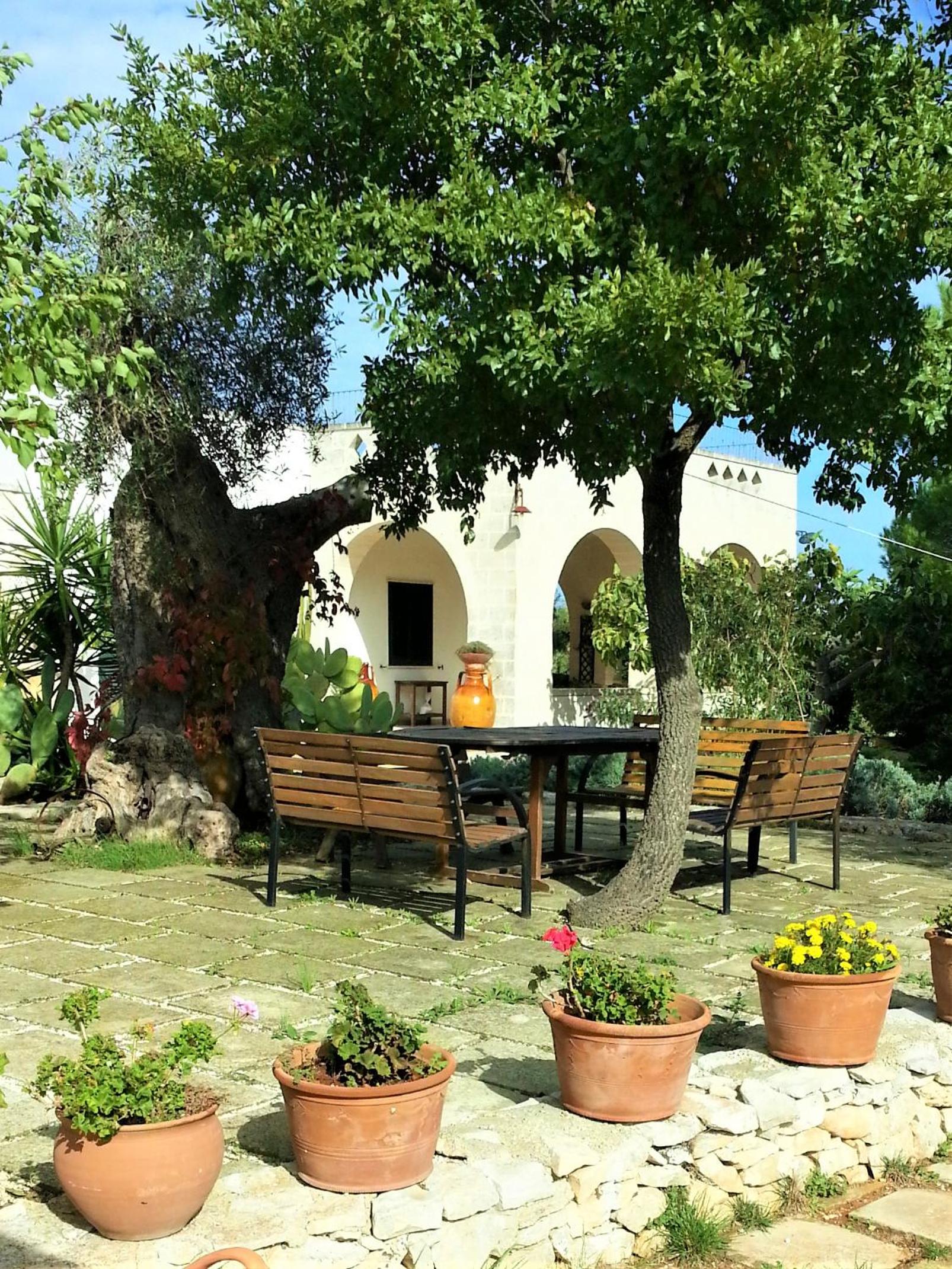 Photo 11