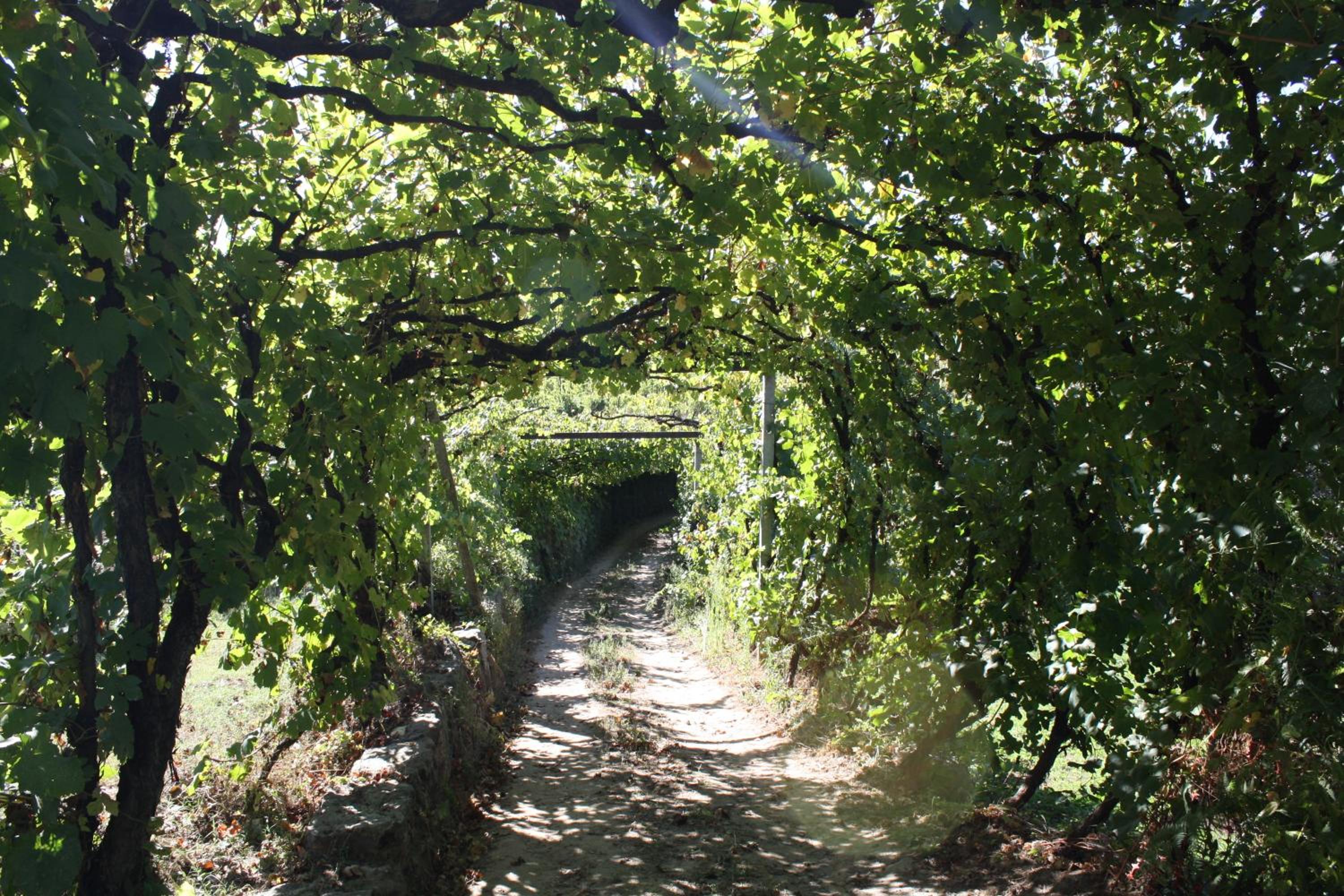 Quinta da Comenda