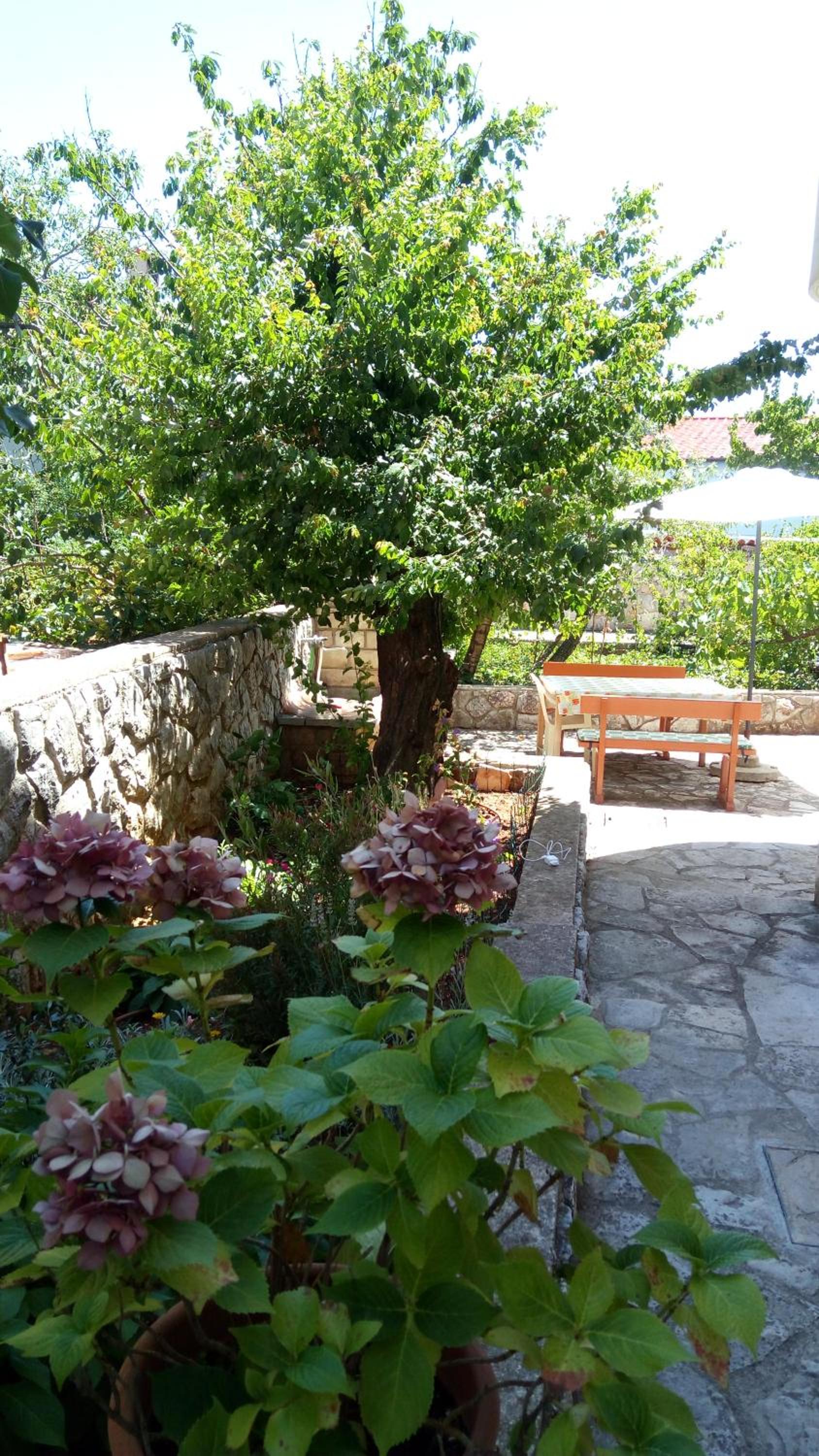 Apartmani Vitković II Cres