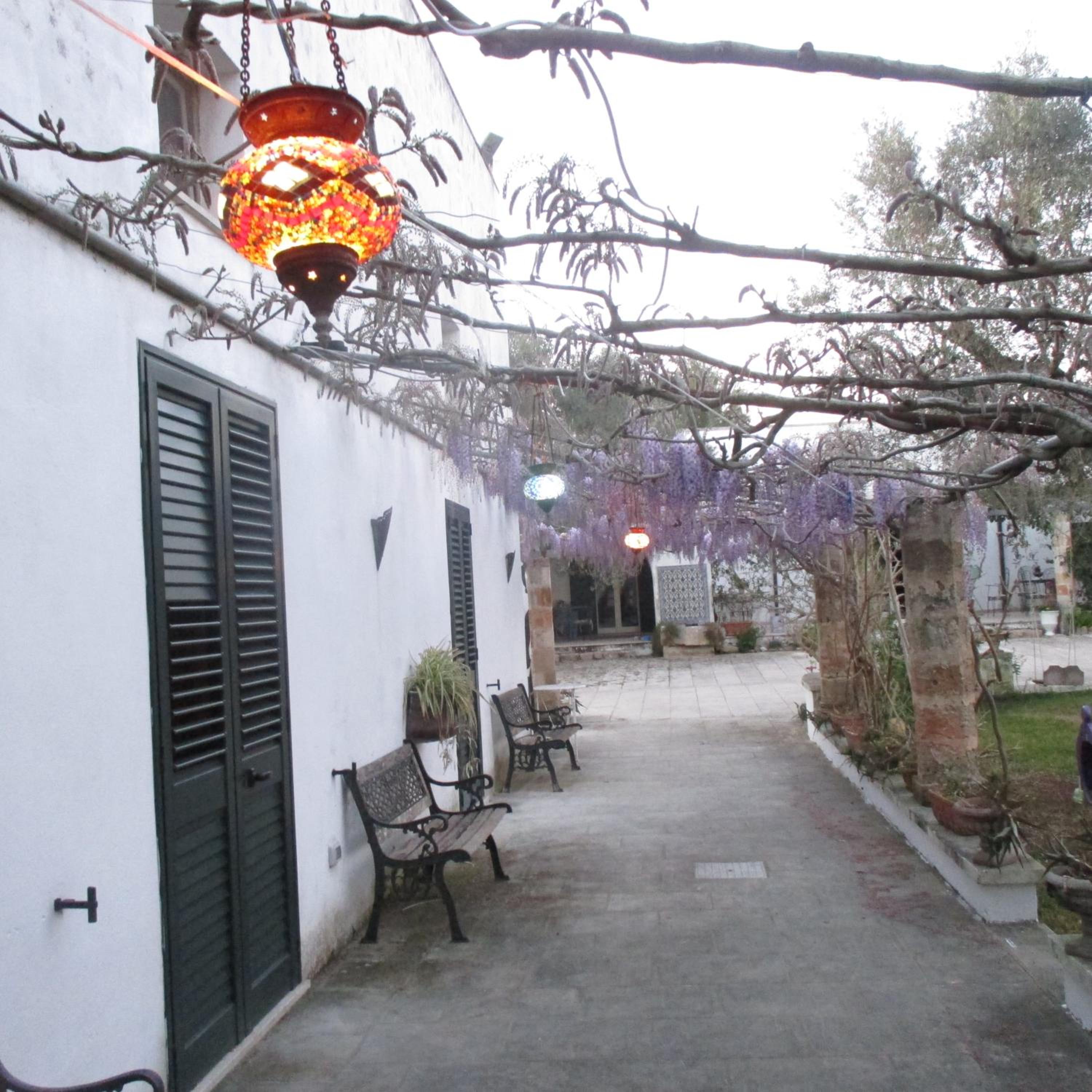 Photo 44