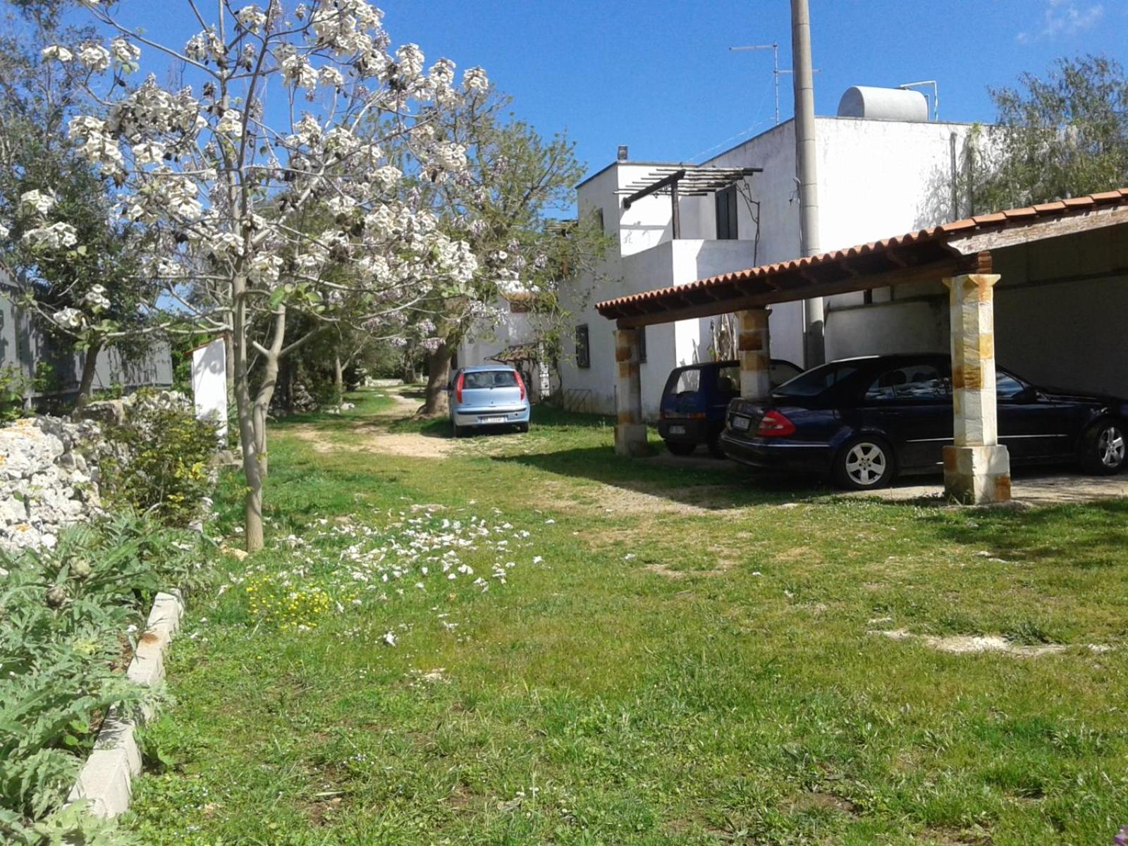 Photo 43