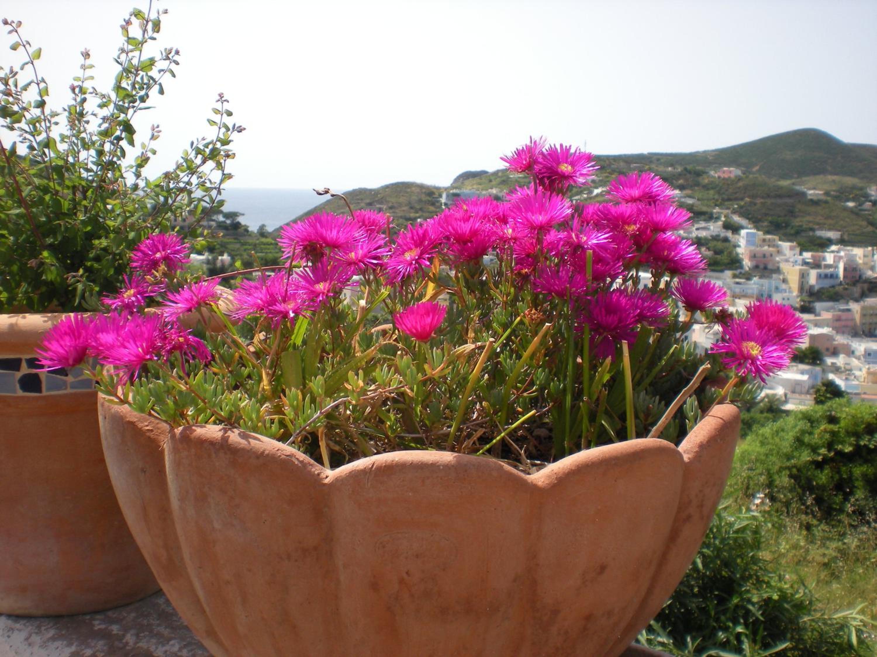 Villa Pina