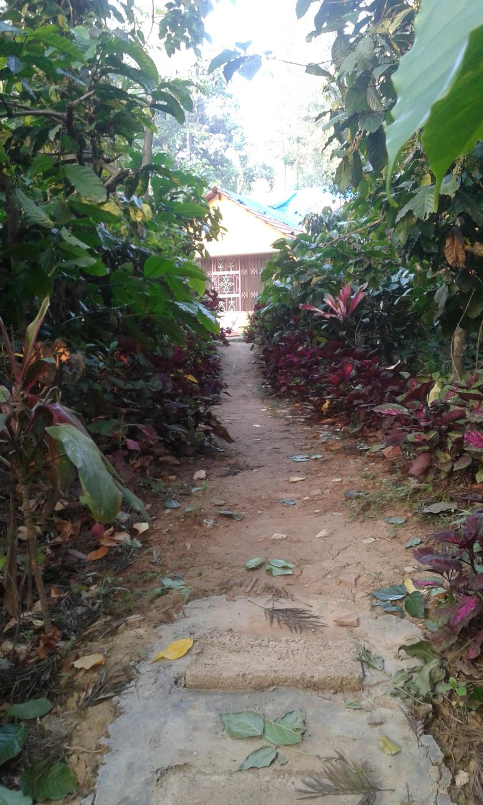 Photo 14