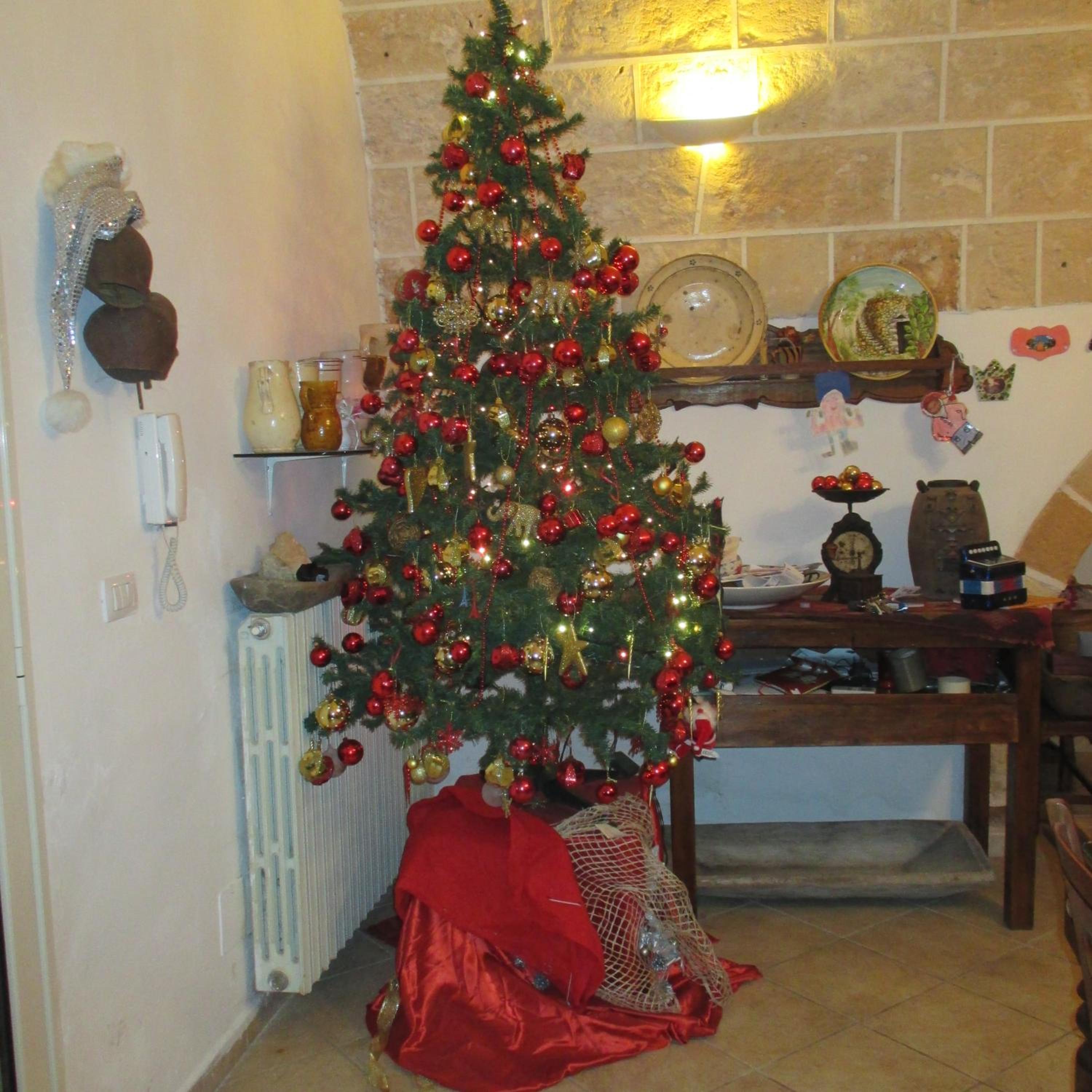 Photo 41