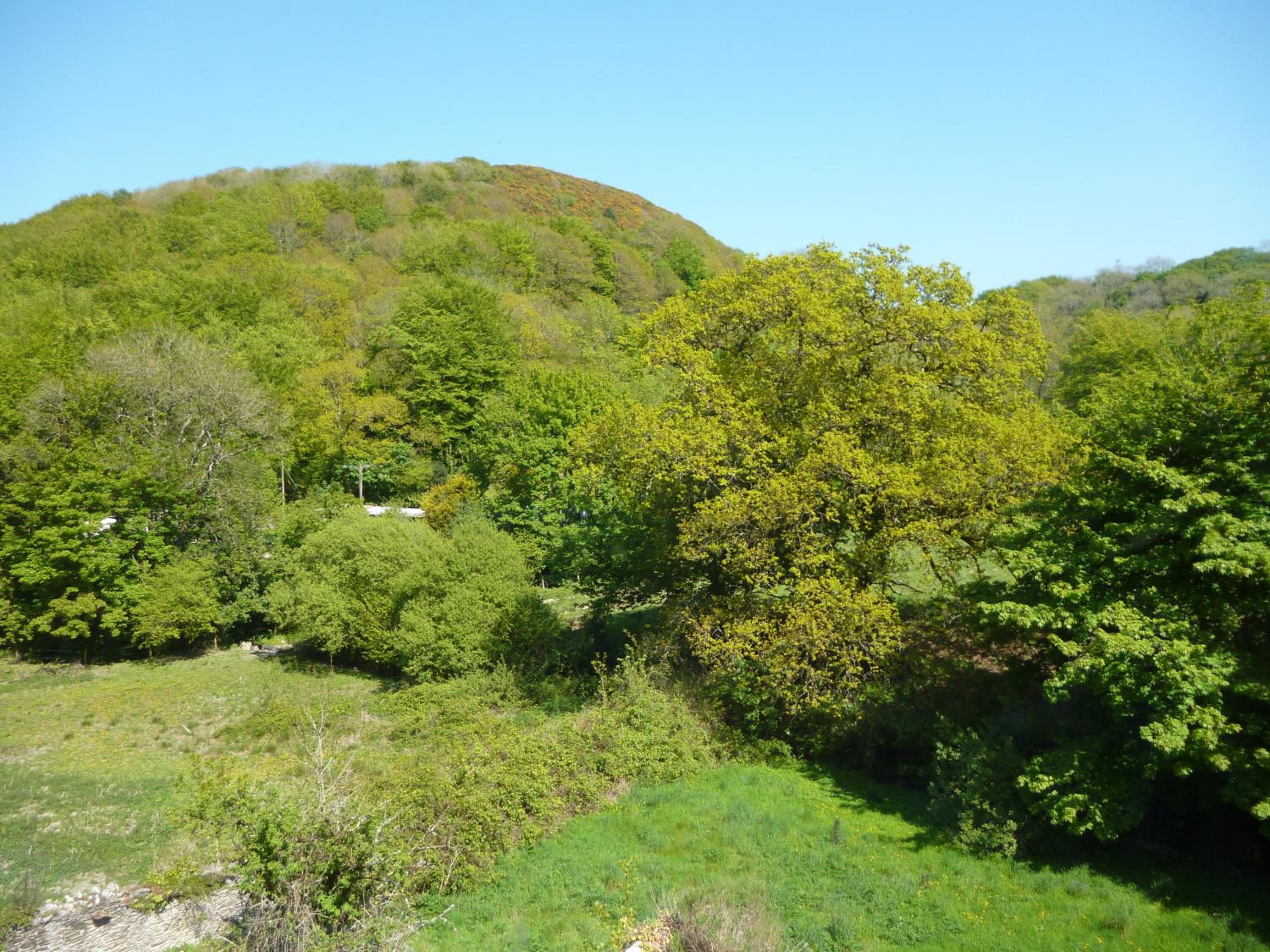 Photo 13