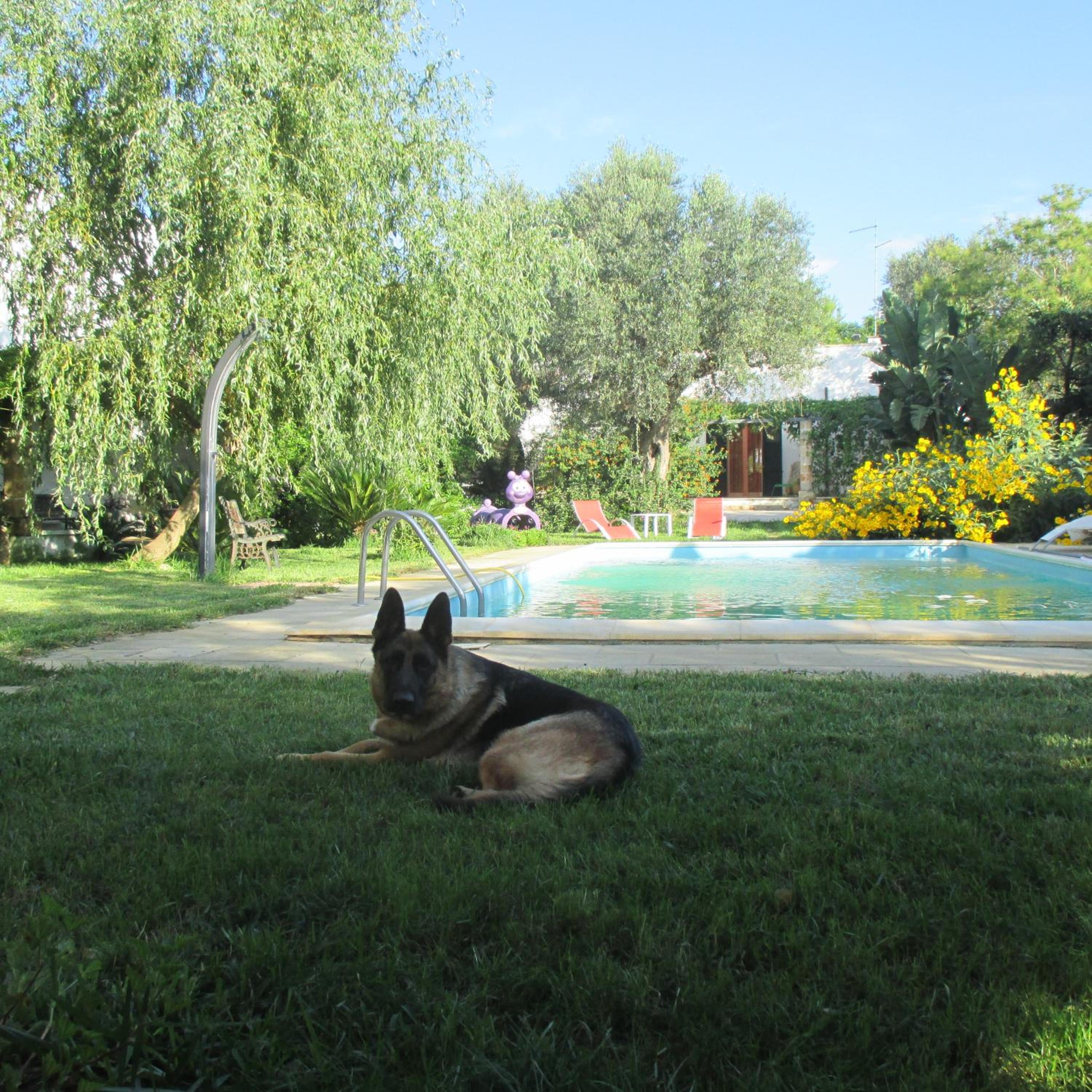 Photo 46