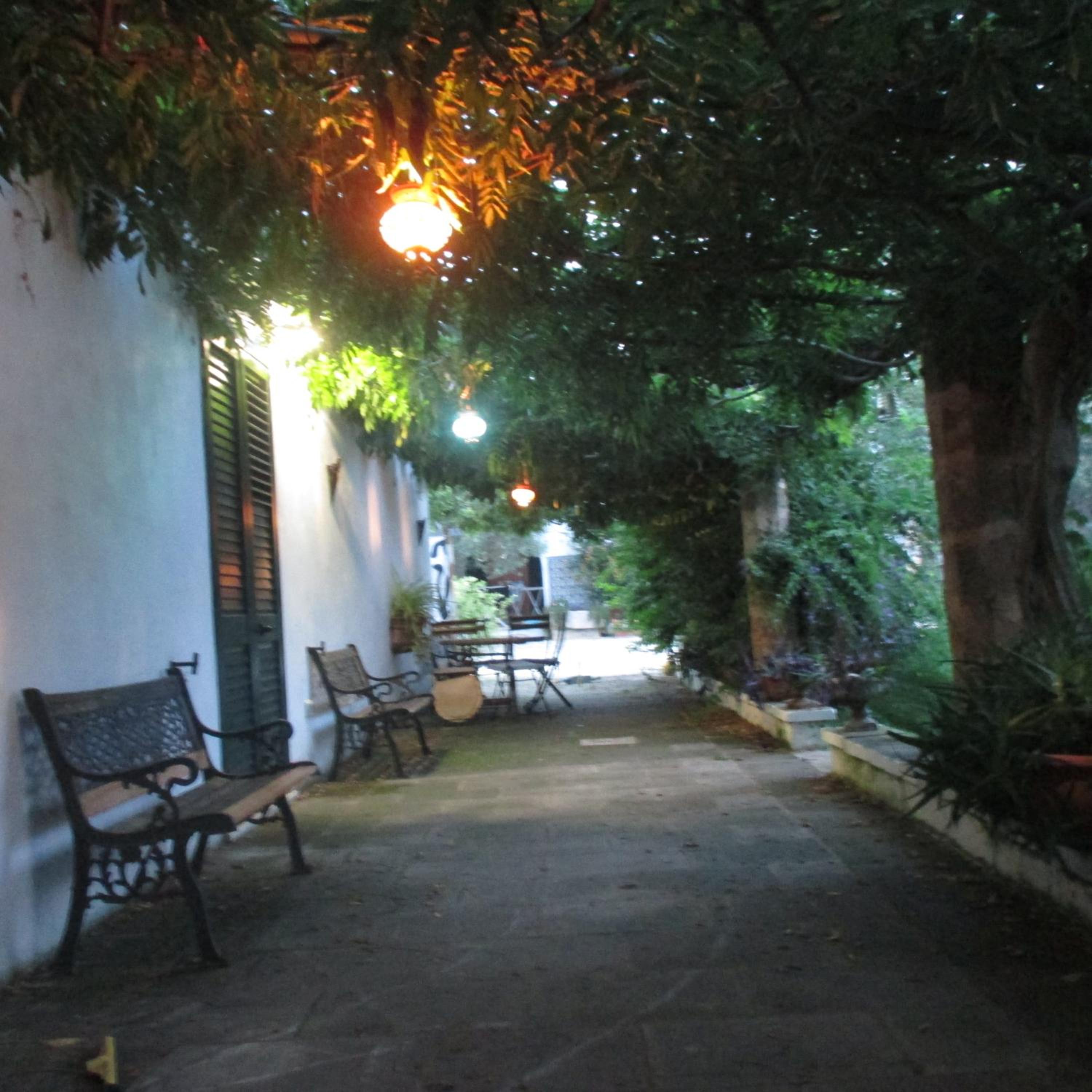 Photo 23