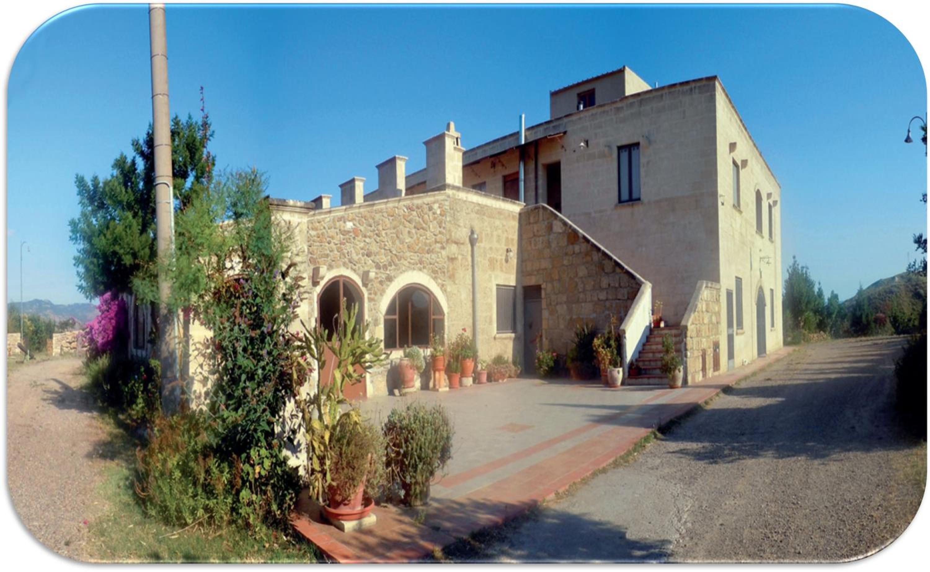 Photo 41