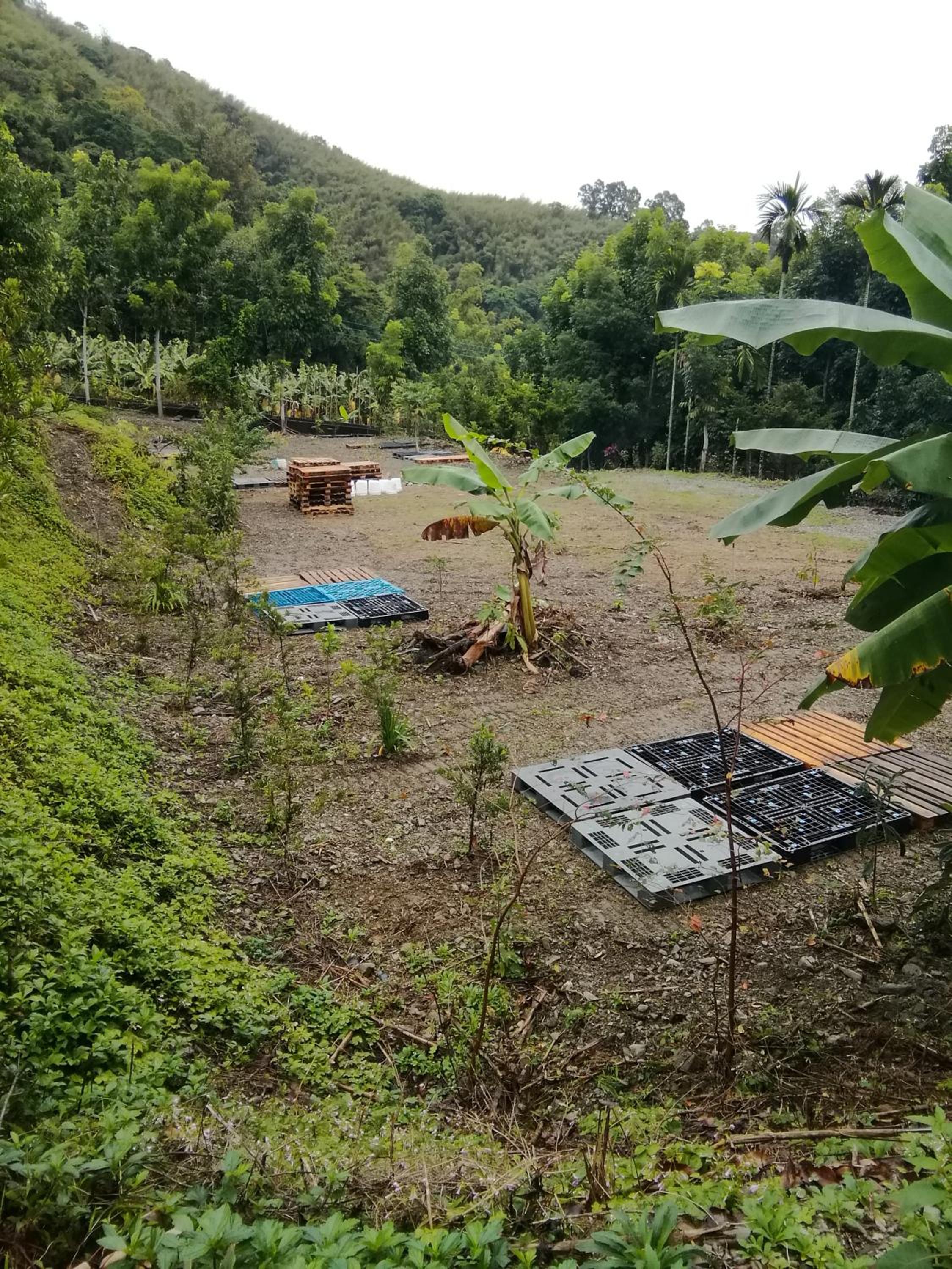 Taitung Homestay Guanshan Rosewood Homestay Farm