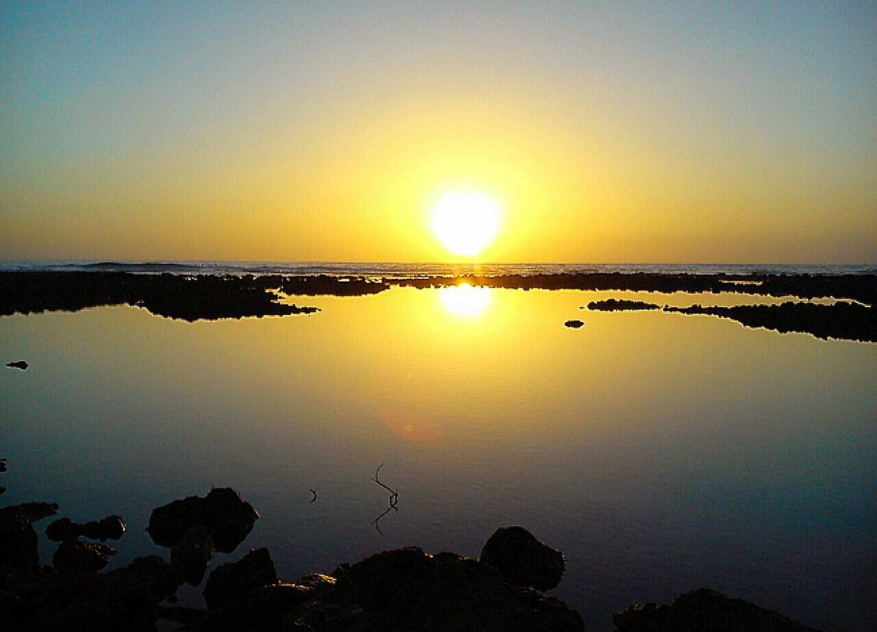 By Jonni Res. Chaparral photo 3