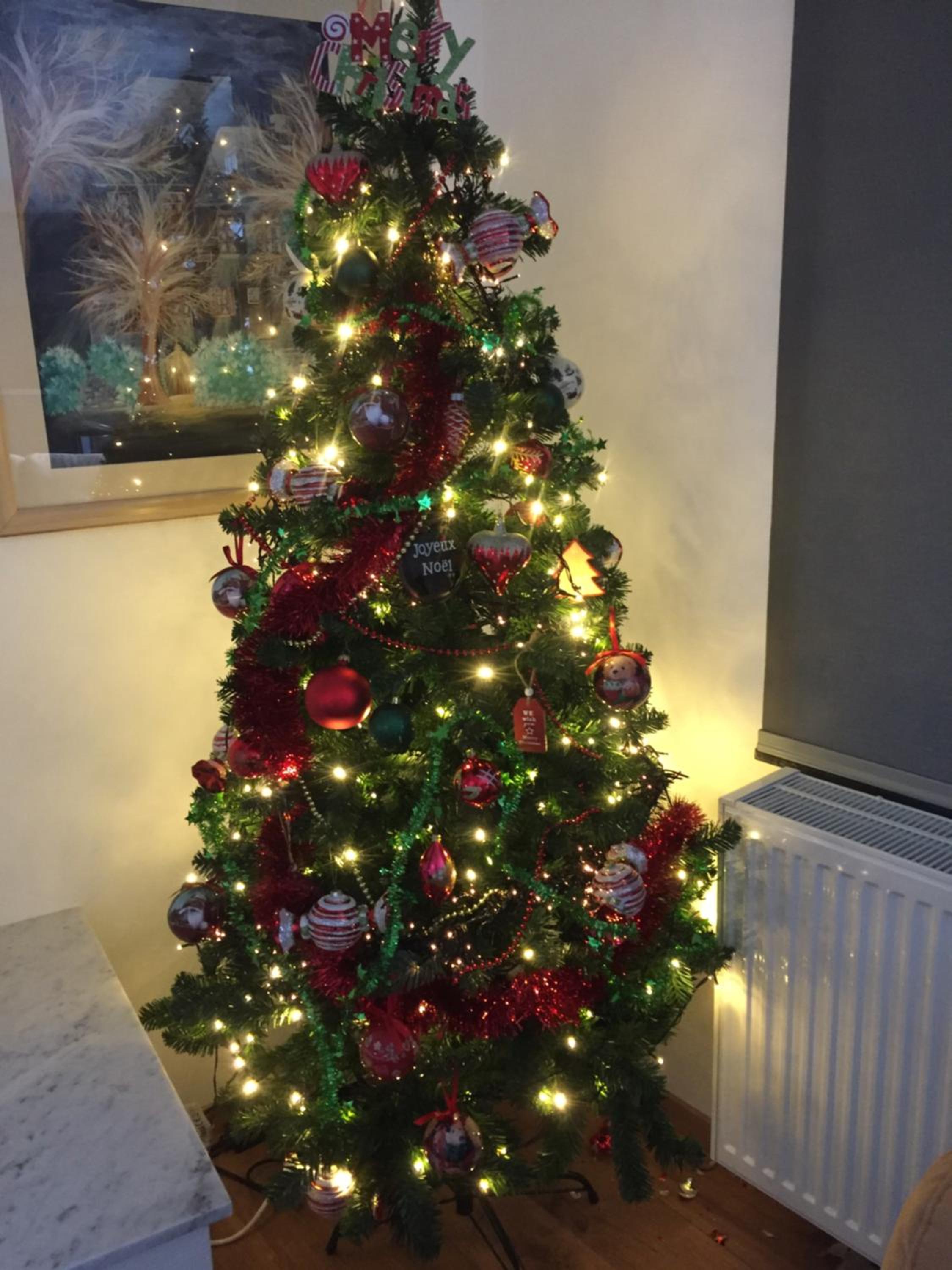 Photo 16