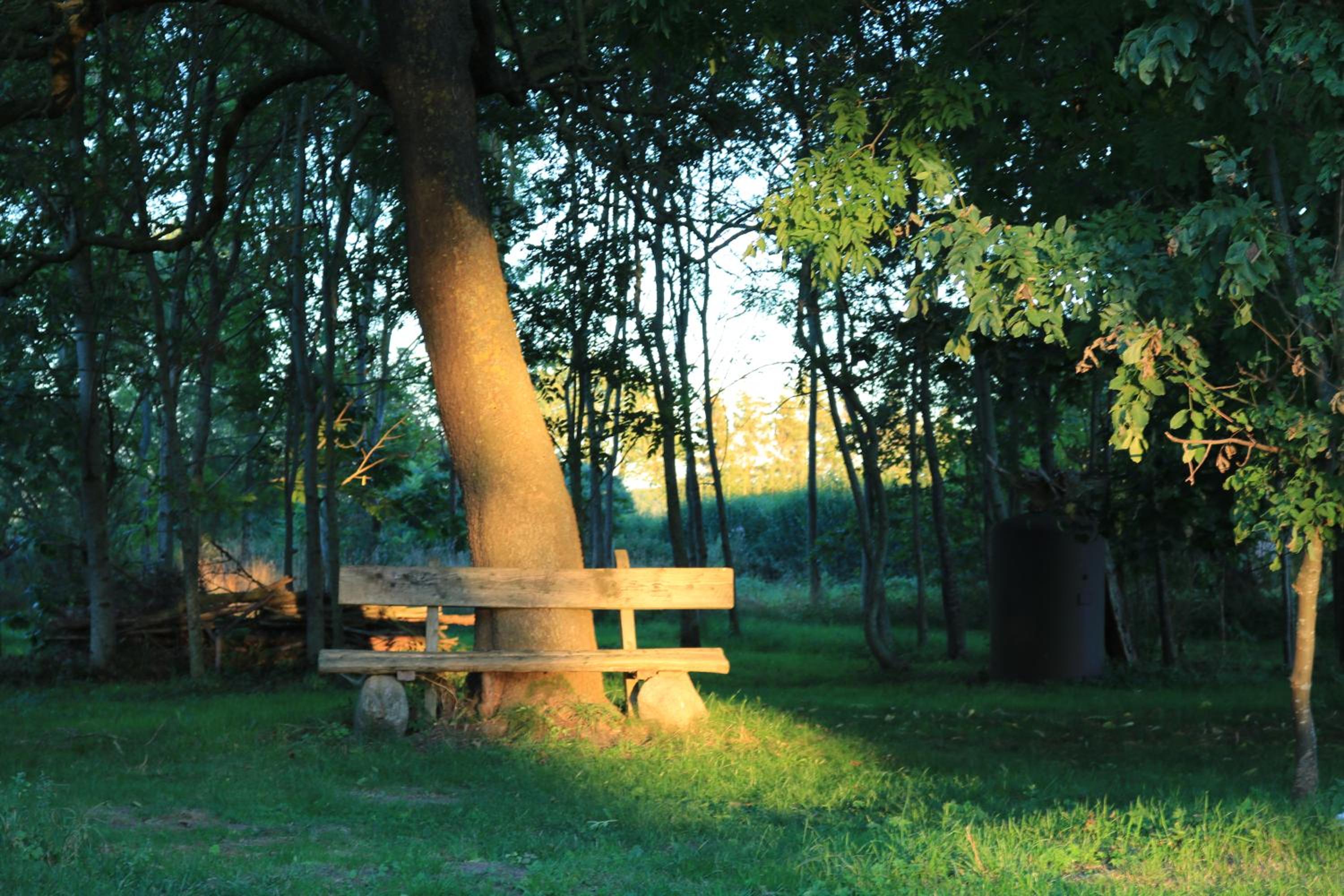 Ferienhaus Raabe view 2