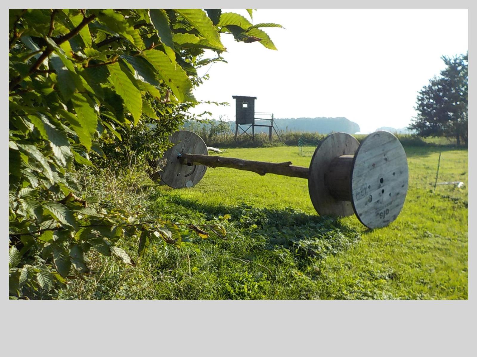Ferienhaus Raabe view 5
