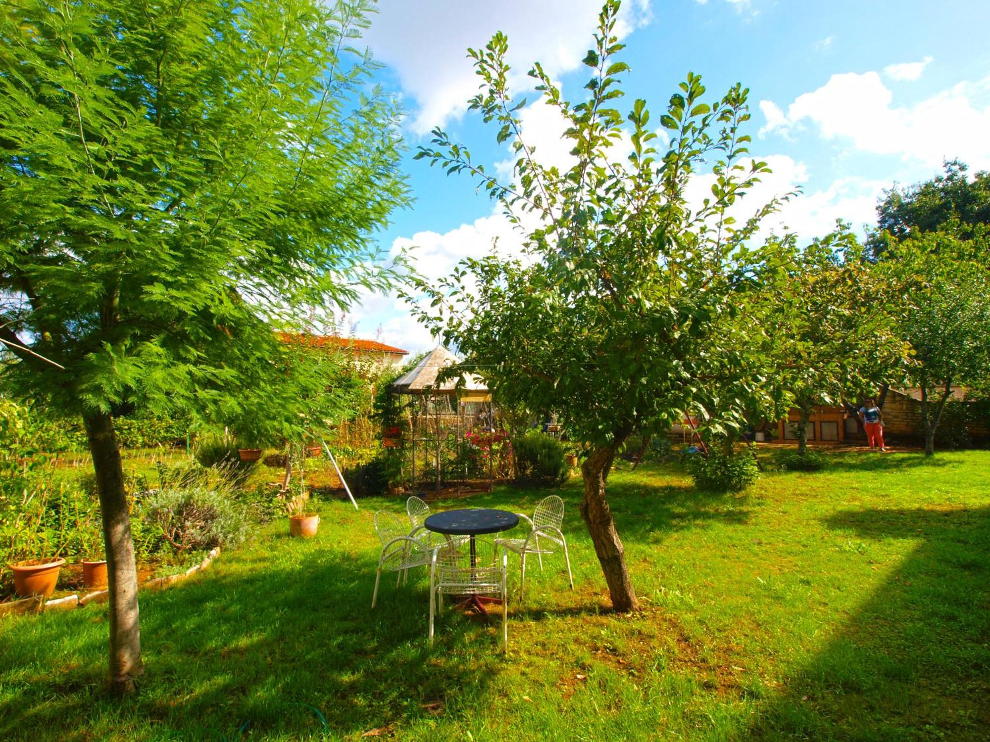 Apartments in Medulin 713